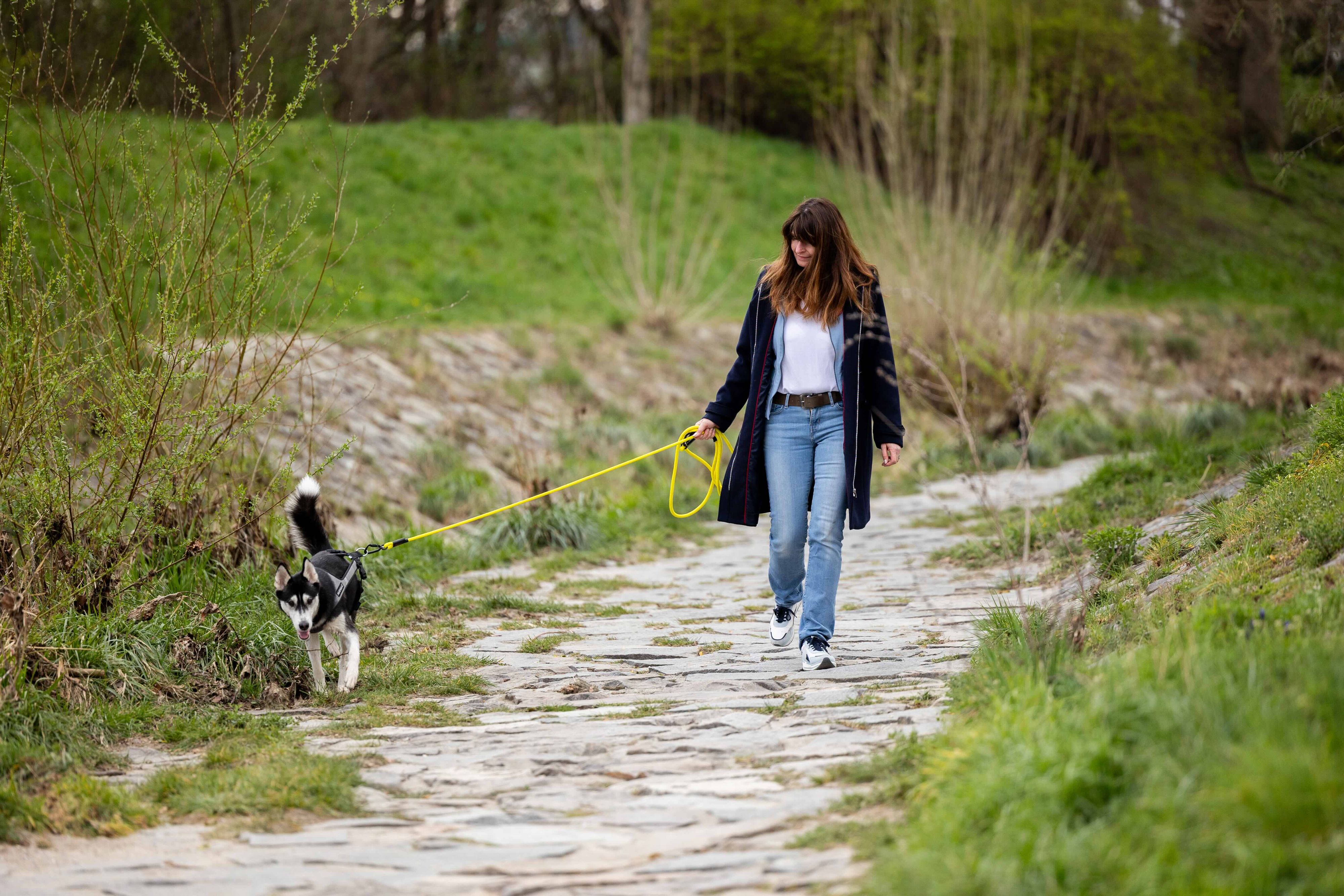 Heute.at - Gemma Gassi: Schnitzeljagd für Hund und Mensch