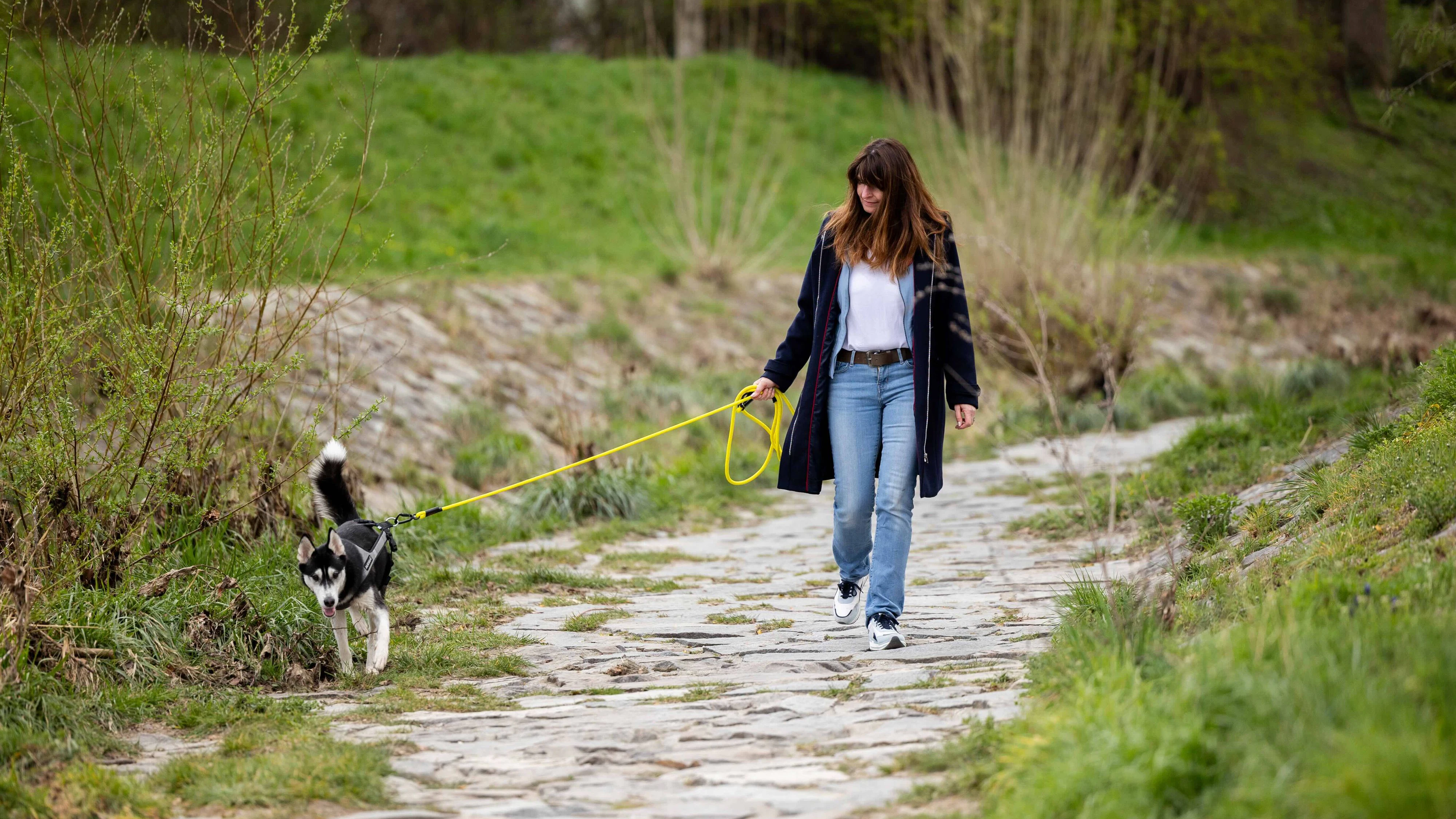 Heute.at - Gemma Gassi: Schnitzeljagd für Hund und Mensch