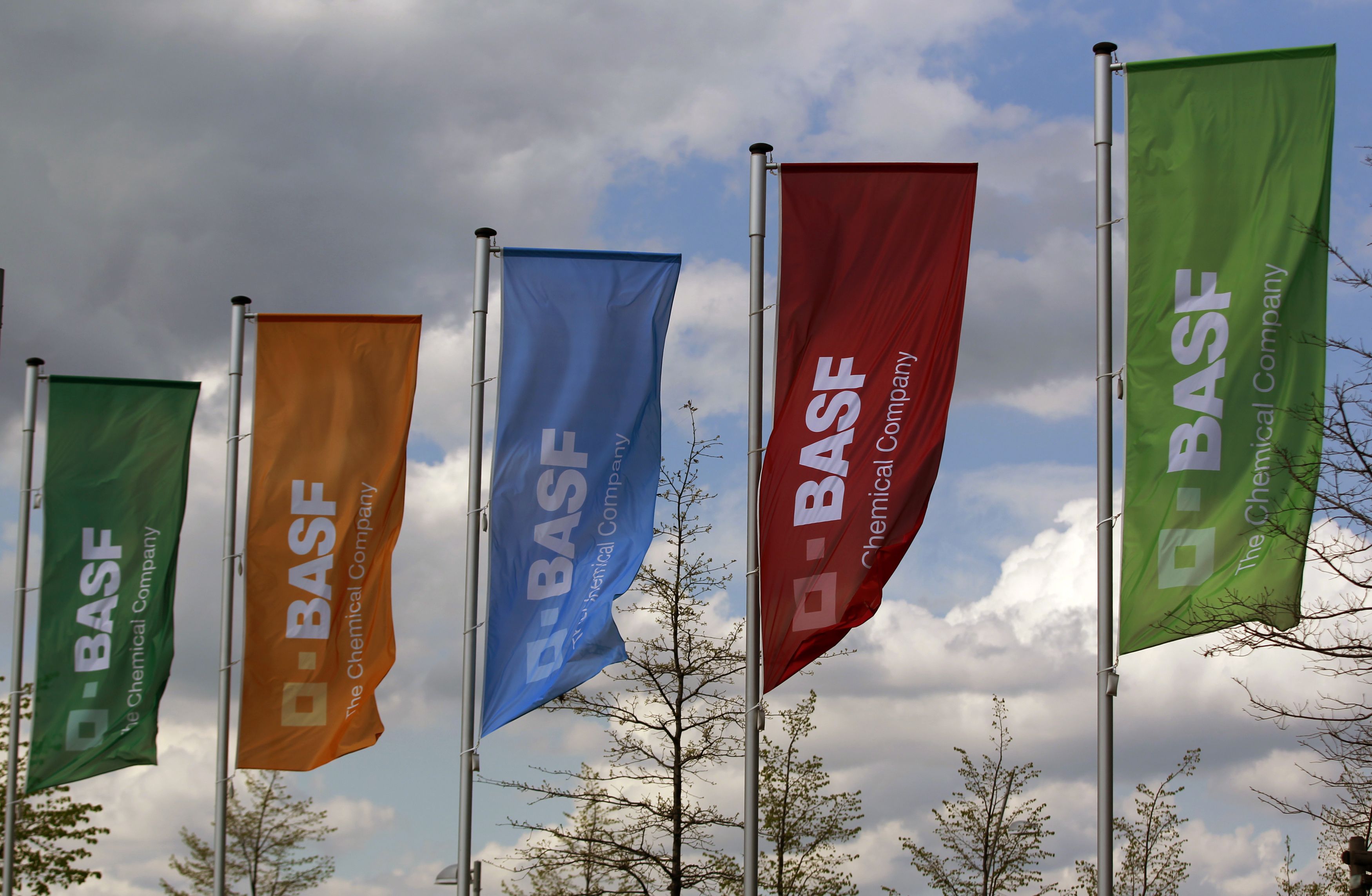 Flags of the German chemical company BASF are pictured in Monheim April 20, 2012. REUTERS/Ina Fassbender (GERMANY  - Tags: BUSINESS LOGO)