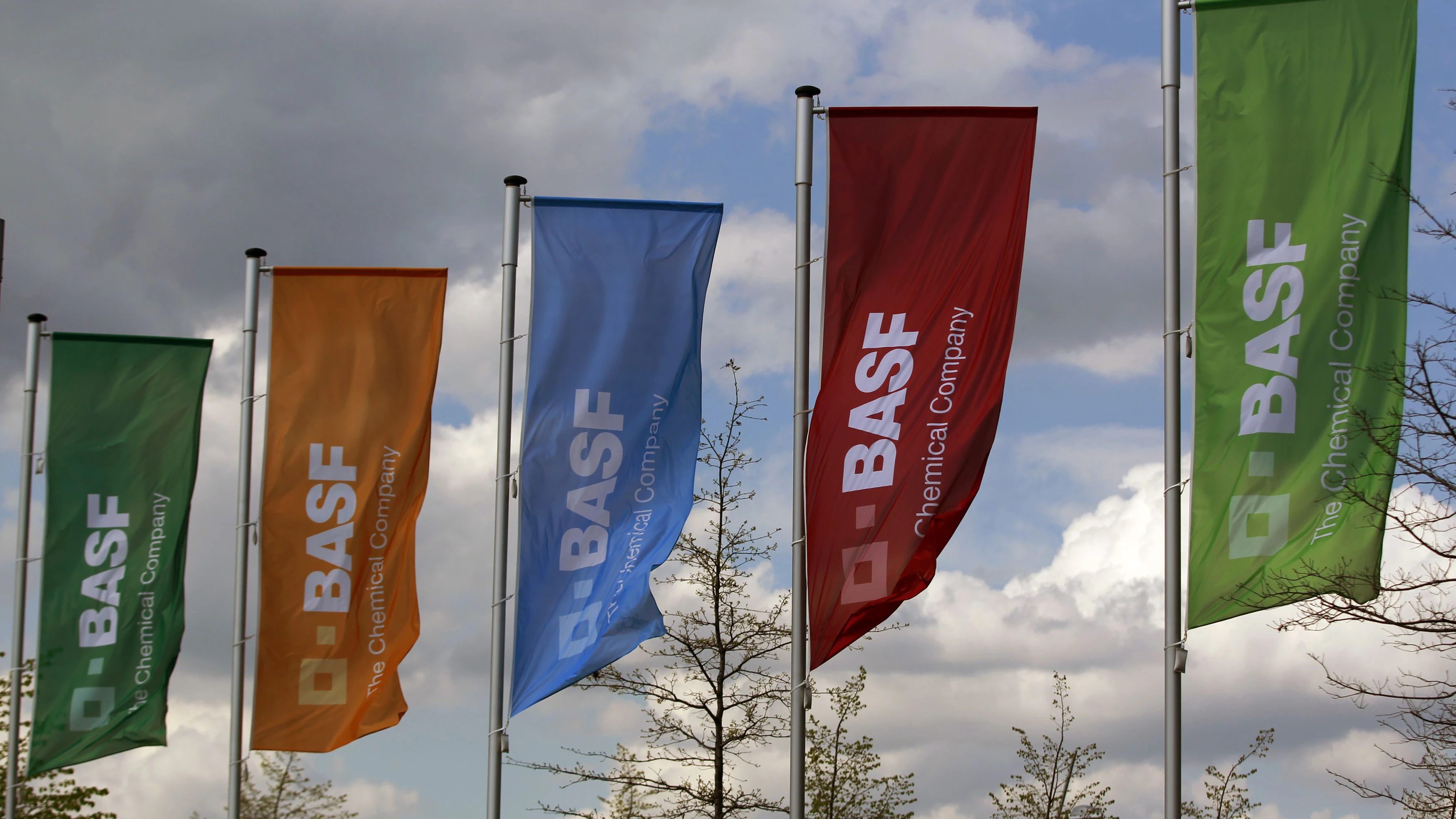 Flags of the German chemical company BASF are pictured in Monheim April 20, 2012. REUTERS/Ina Fassbender (GERMANY  - Tags: BUSINESS LOGO)