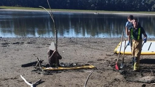 In Speyer rettete die Feuerwehr einen Mann, der hüfttief im Schlamm versunken war.
