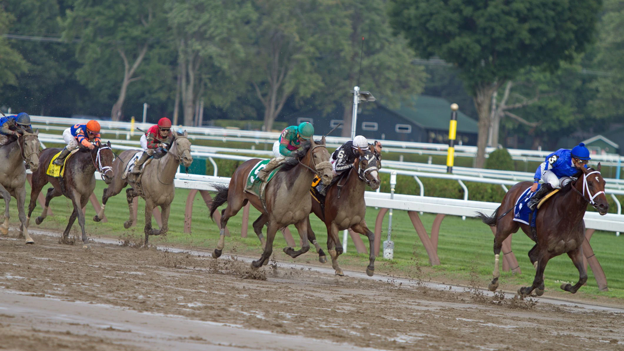 Saratoga, New York, United States - July 27, 2014: Shows six horses, 5 covered with mud and jockeys