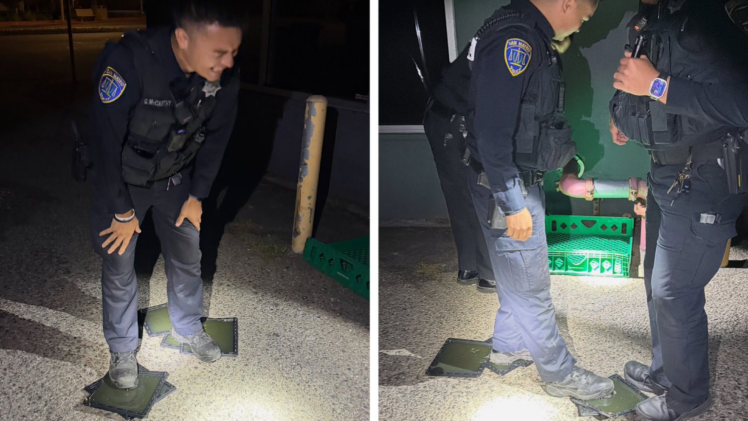 Auf der Suche nach einem Einbrecher tappte ein Polizist in fünf Klebefallen für Ratten.