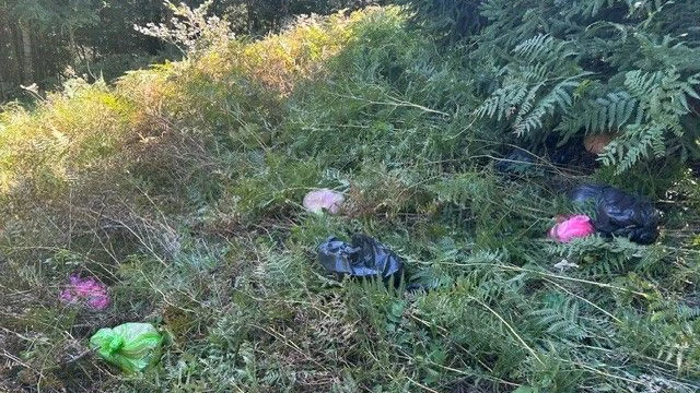 Heute.at - 25 Müllsäcke einfach an Mautstraße abgeladen