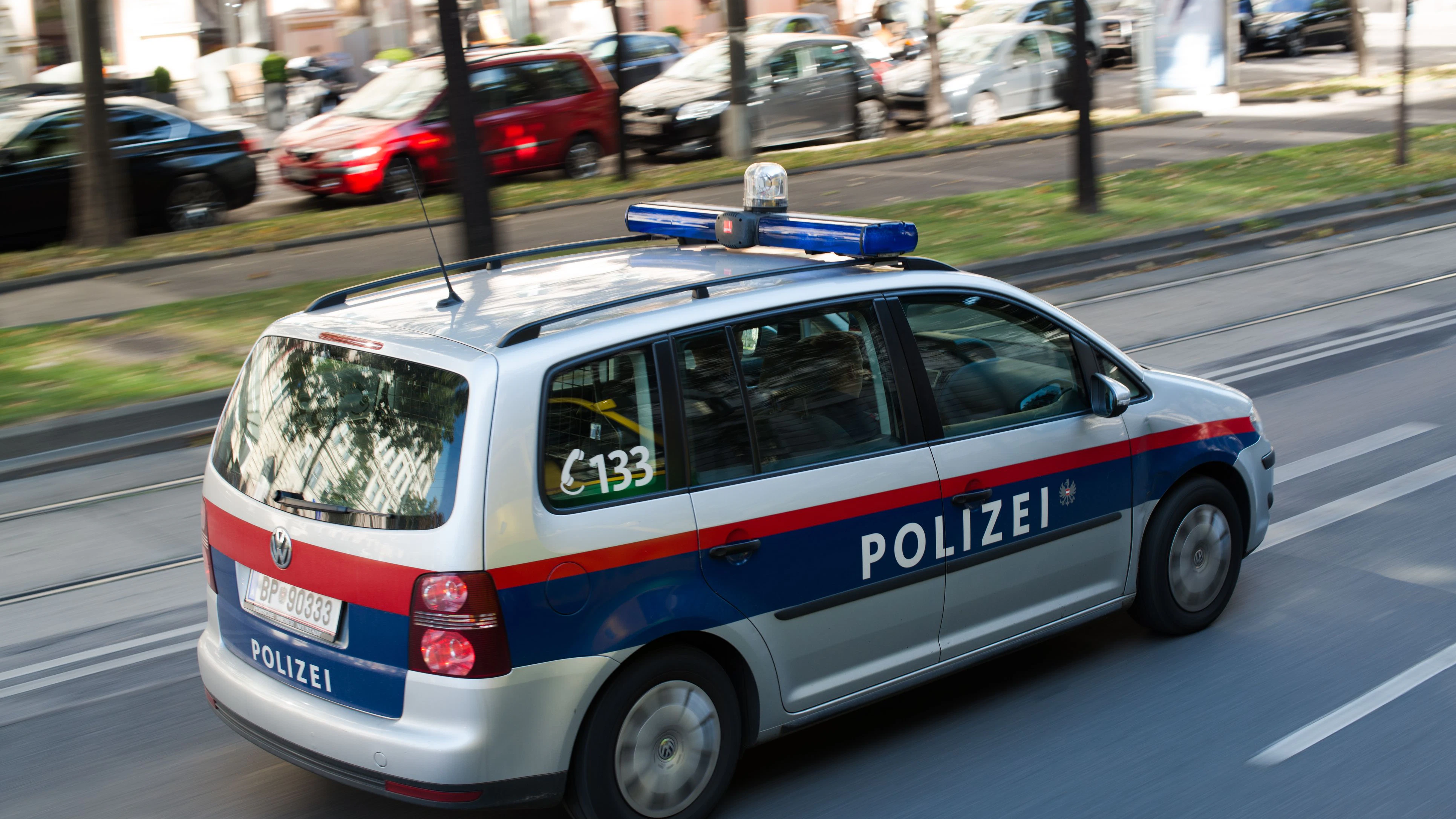 Die Polizei konnte die Tatverdächtige festnehmen.