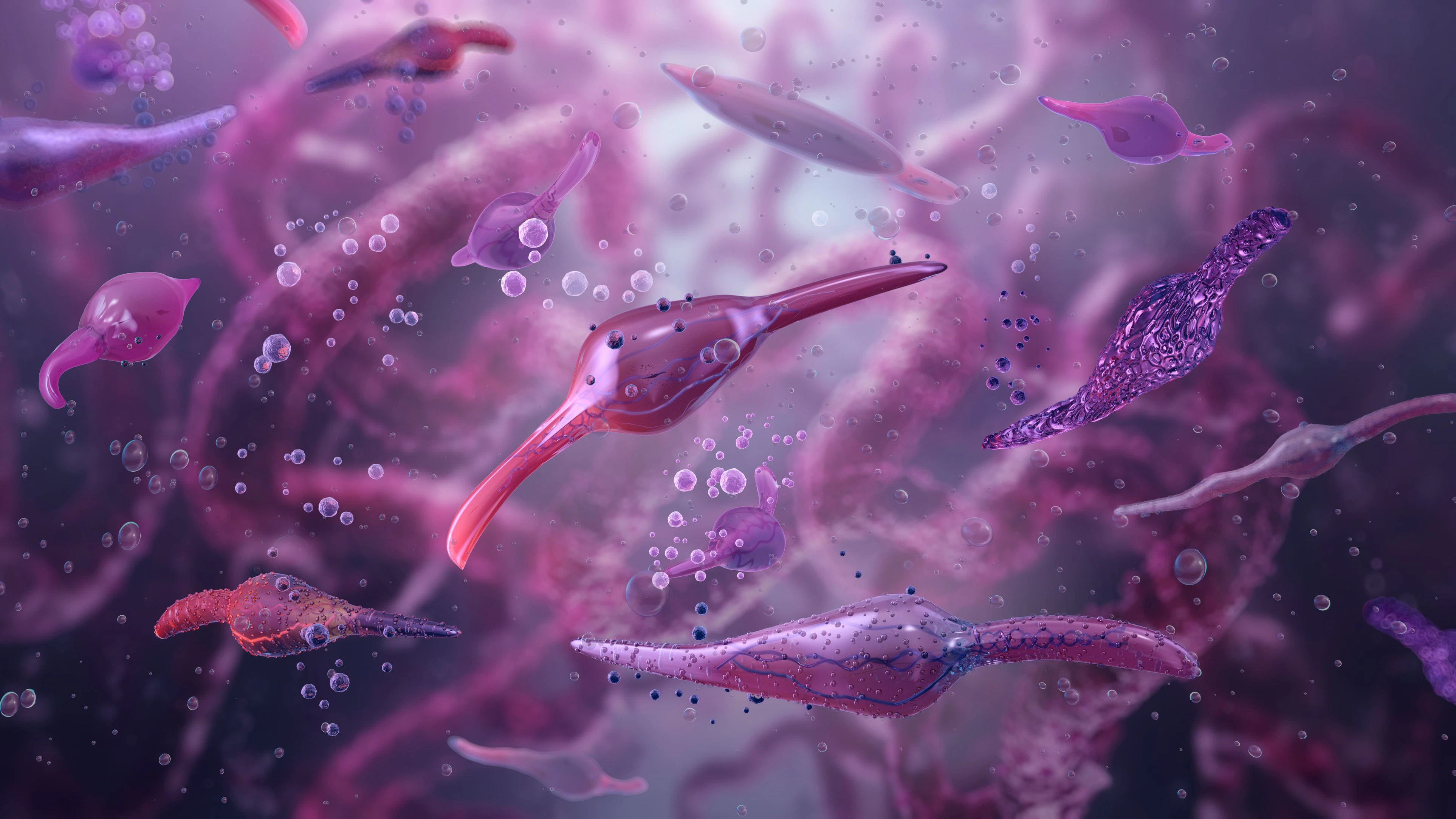 Mycoplasma pneumoniae bacteria infecting lung tissue, a microscopic view. Irregularly shaped organisms adhering to human lung cells. Mycoplasma pathogenic infections: pneumonia, bronchitis disease, 3D illustration