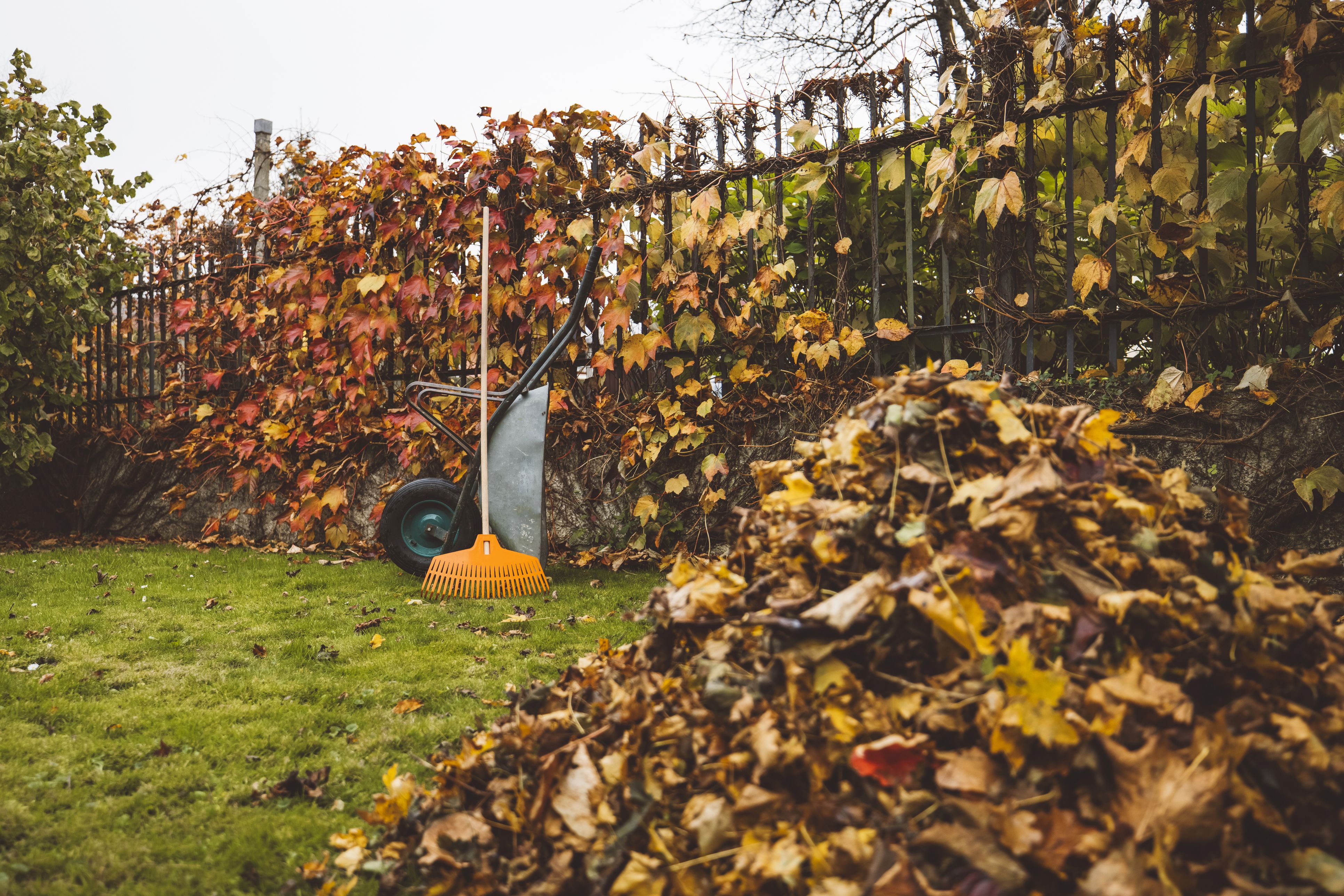 Die Tage werden kürzer und der Garten verabschiedet sich langsam in die Winterpause.