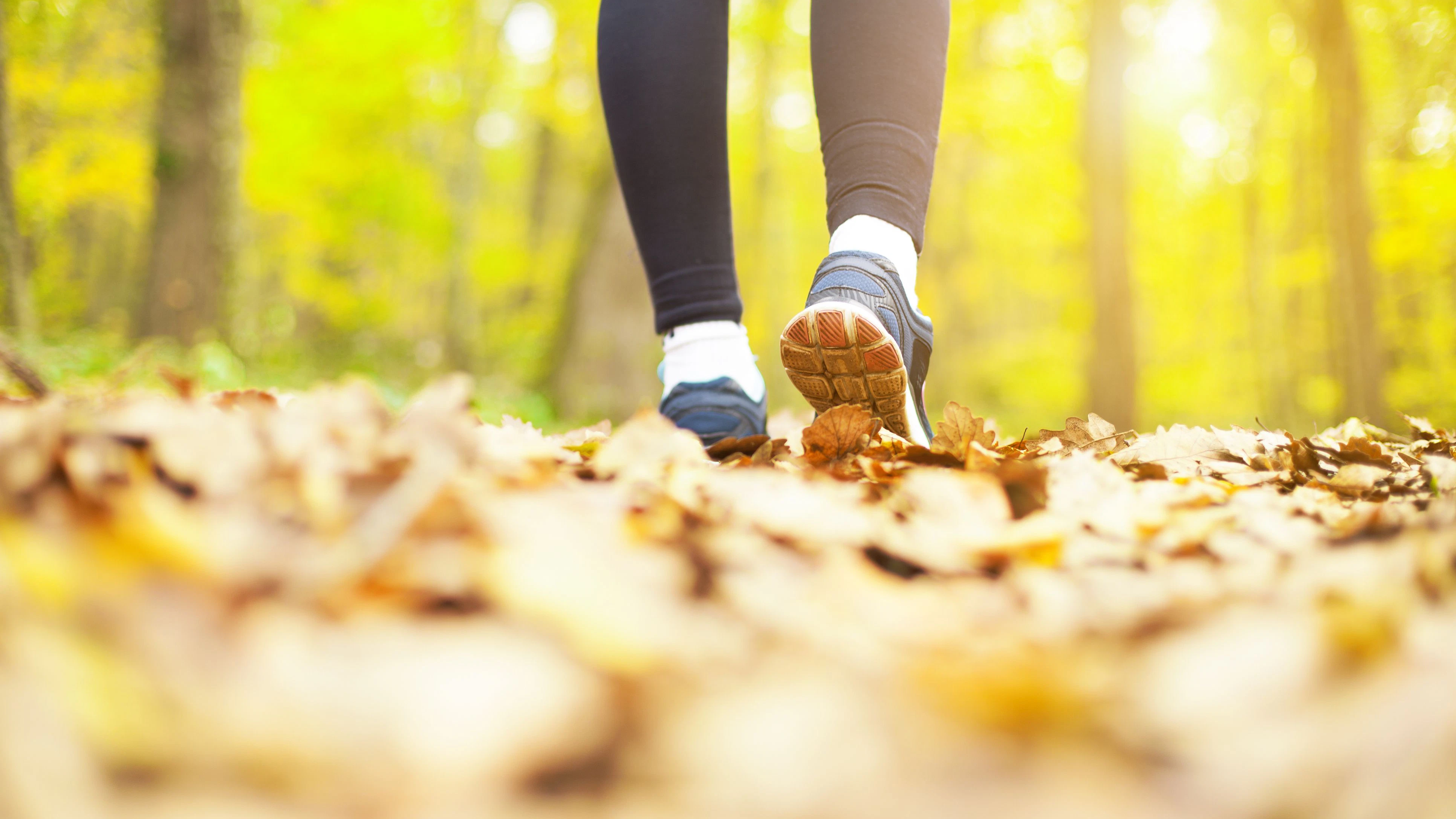 Woman walking cross country and trail in autumn forest