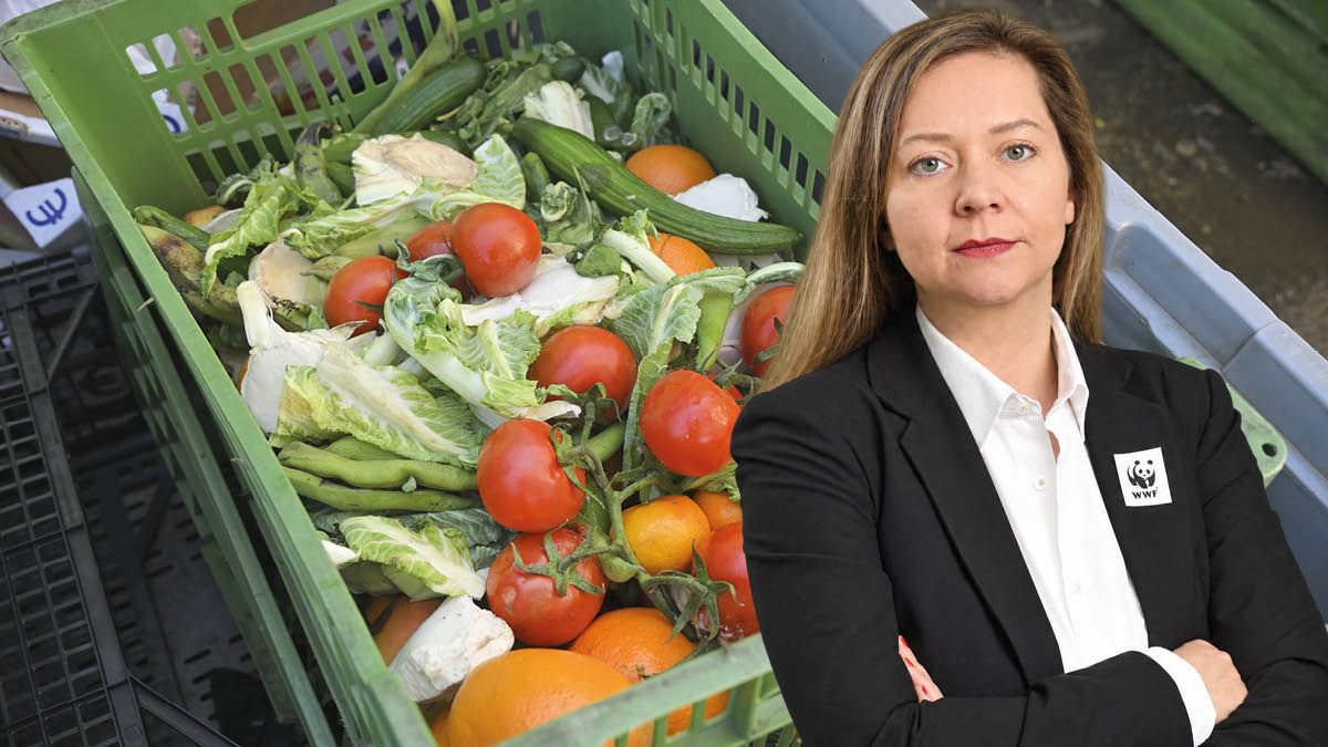 Obst, Gemüse sowie Brot und Backwaren landen in Haushalten am häufigsten im Müll, so Expertin Julia Haslinger vom WWF.