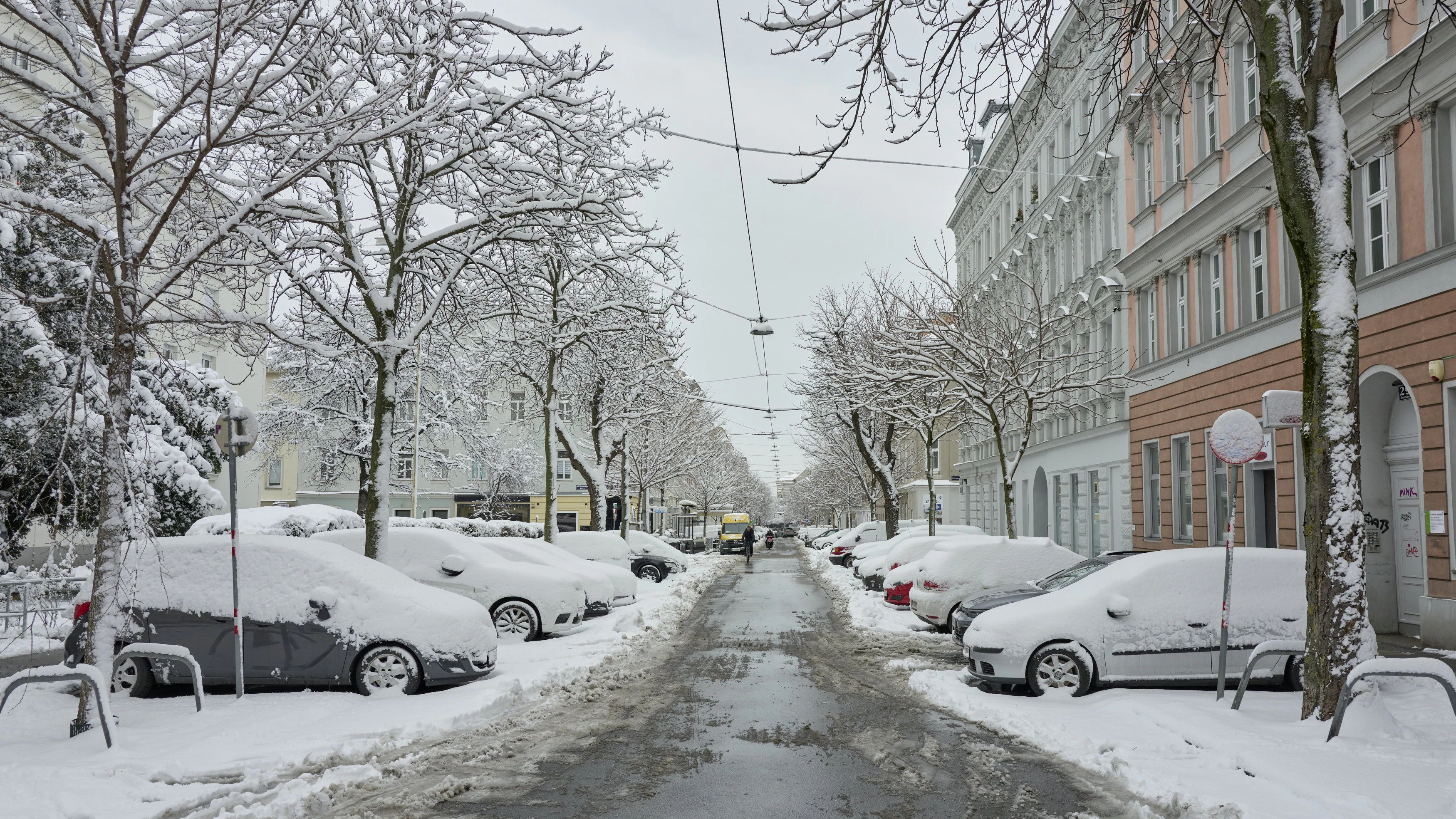 Heute.at - Alte Bauernregel sagt, ob in zwei Wochen Schnee fällt