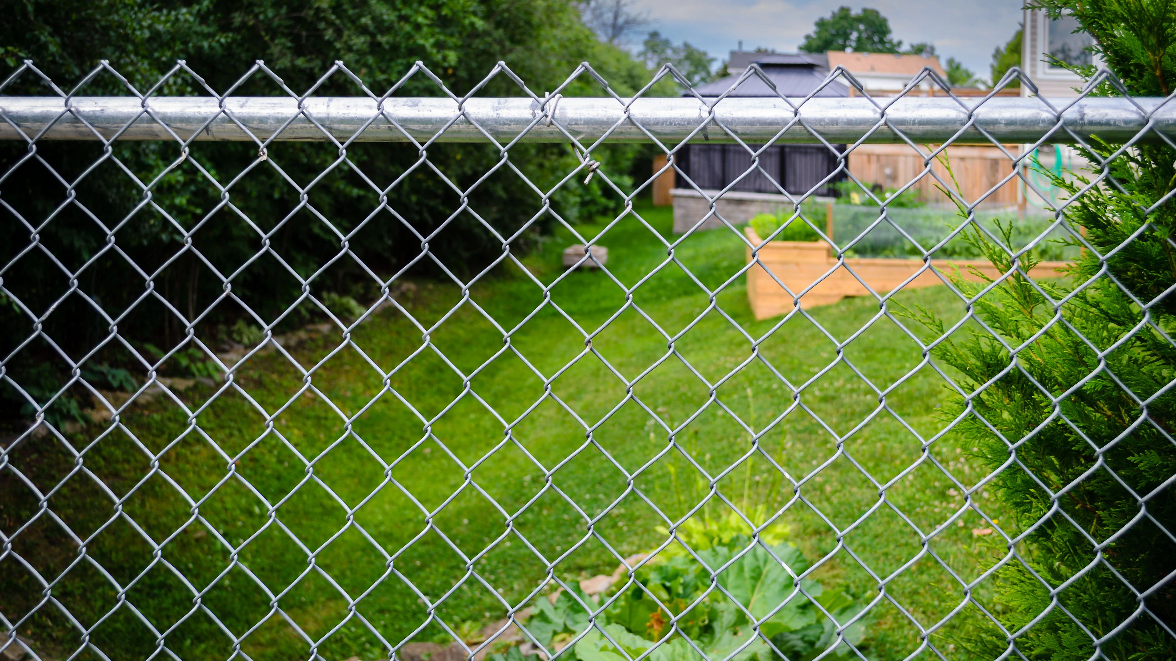 Suburban backyard decks, gazebo and garden behind a chain-link fence on a sunny morning