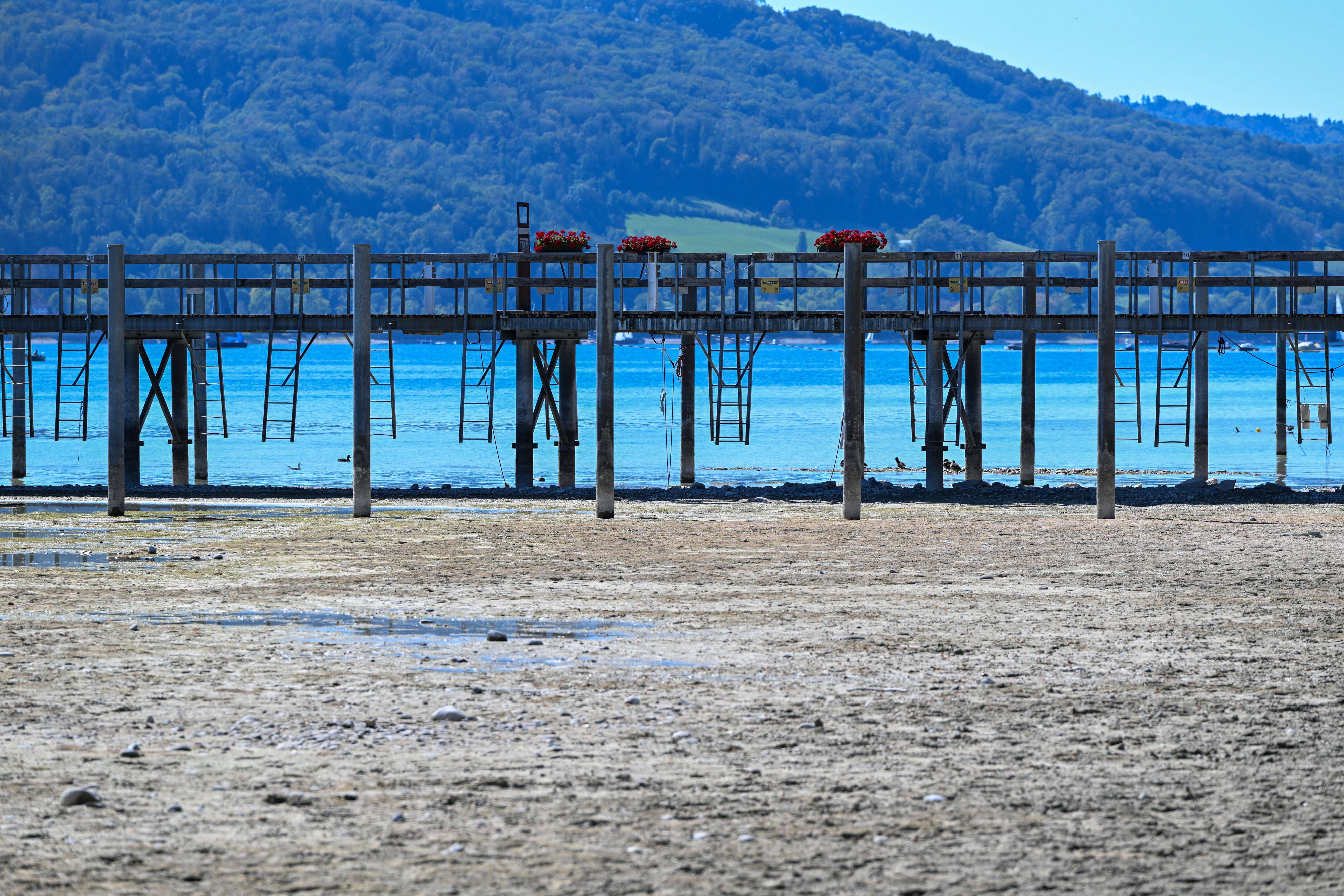 Bei sonnigem Spätsommerwetter am Bodensee liegen einige Boote aufgrund des niedrigen Wasserstands auf dem Trockenen.
