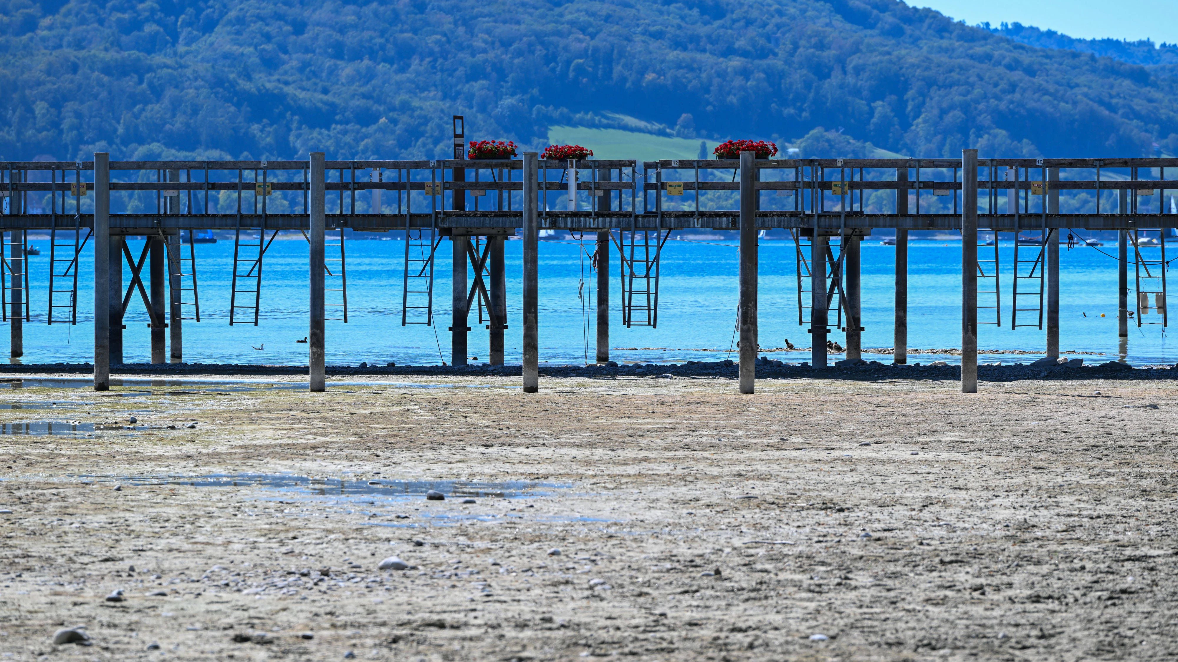 Wetterfeature, Bei sonnigem Spätsommerwetter am Bodensee liegen einige Boote aufgrund des niedrigen Wasserstands auf dem Trockenen. Gleichzeitig zeigt sich der Bodensee von seiner malerischen Seite das Wasser schimmert bei strahlendem Sonnenschein grünlich-blau, während sich die Uferlandschaft unter nahezu wolkenlosem Himmel präsentiert. Gaienhofen Baden-Württemberg Deutschland Gaienhofen *** Weather Feature: On a sunny late-summer day at Lake Constance, some boats are stranded on dry land due to the low water level. At the same time, Lake Constance shows its picturesque sidethe water shimmers a greenish-blue under the bright sunshine, while the shoreline landscape is visible under an almost cloudless sky. Gaienhofen, Baden-Württe Copyright: x xonw-imagesx