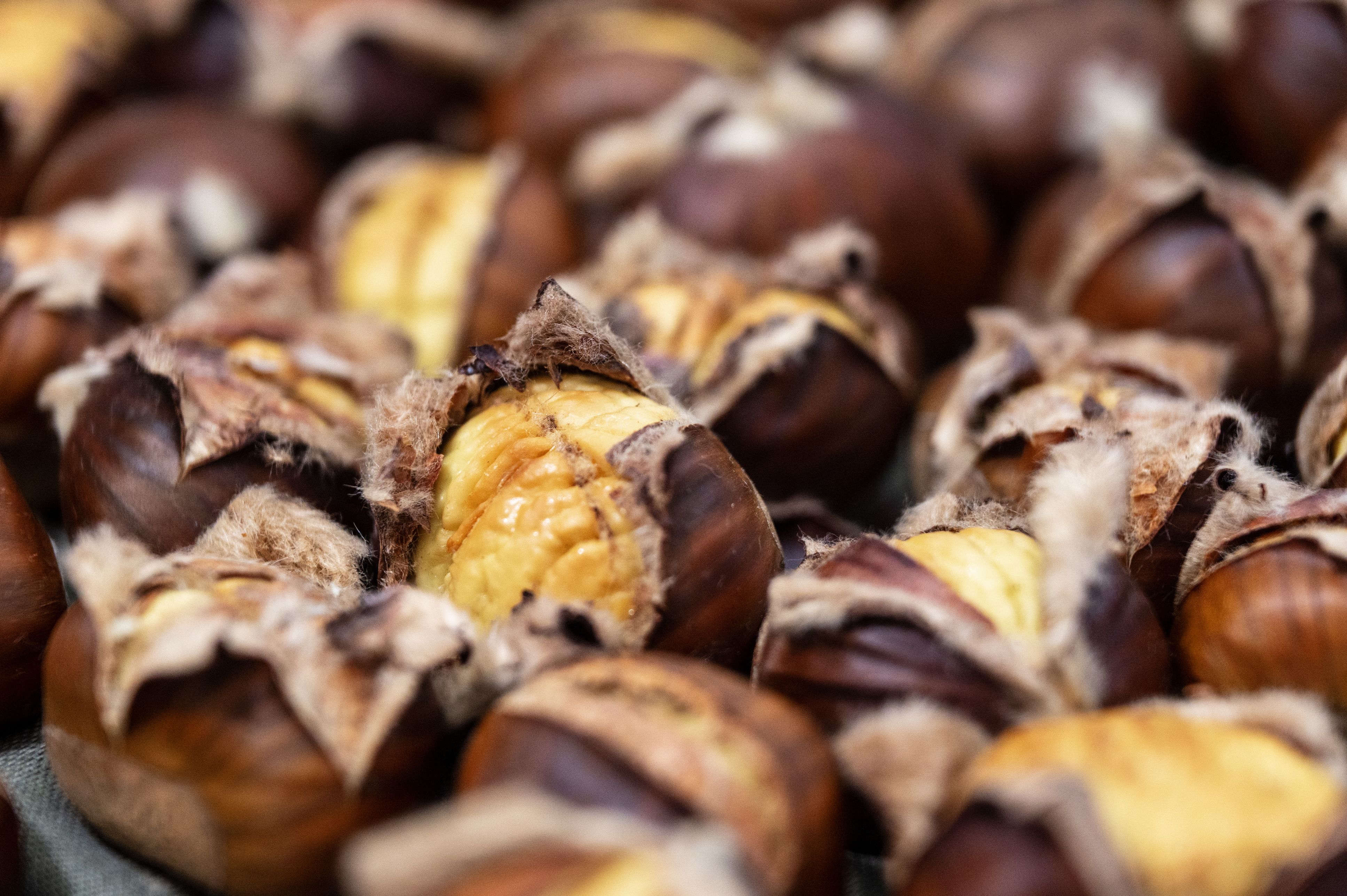 Draußen wird es kalt, drinnen duftet es nach frisch gerösteten Maroni – besser kann Herbst kaum schmecken.