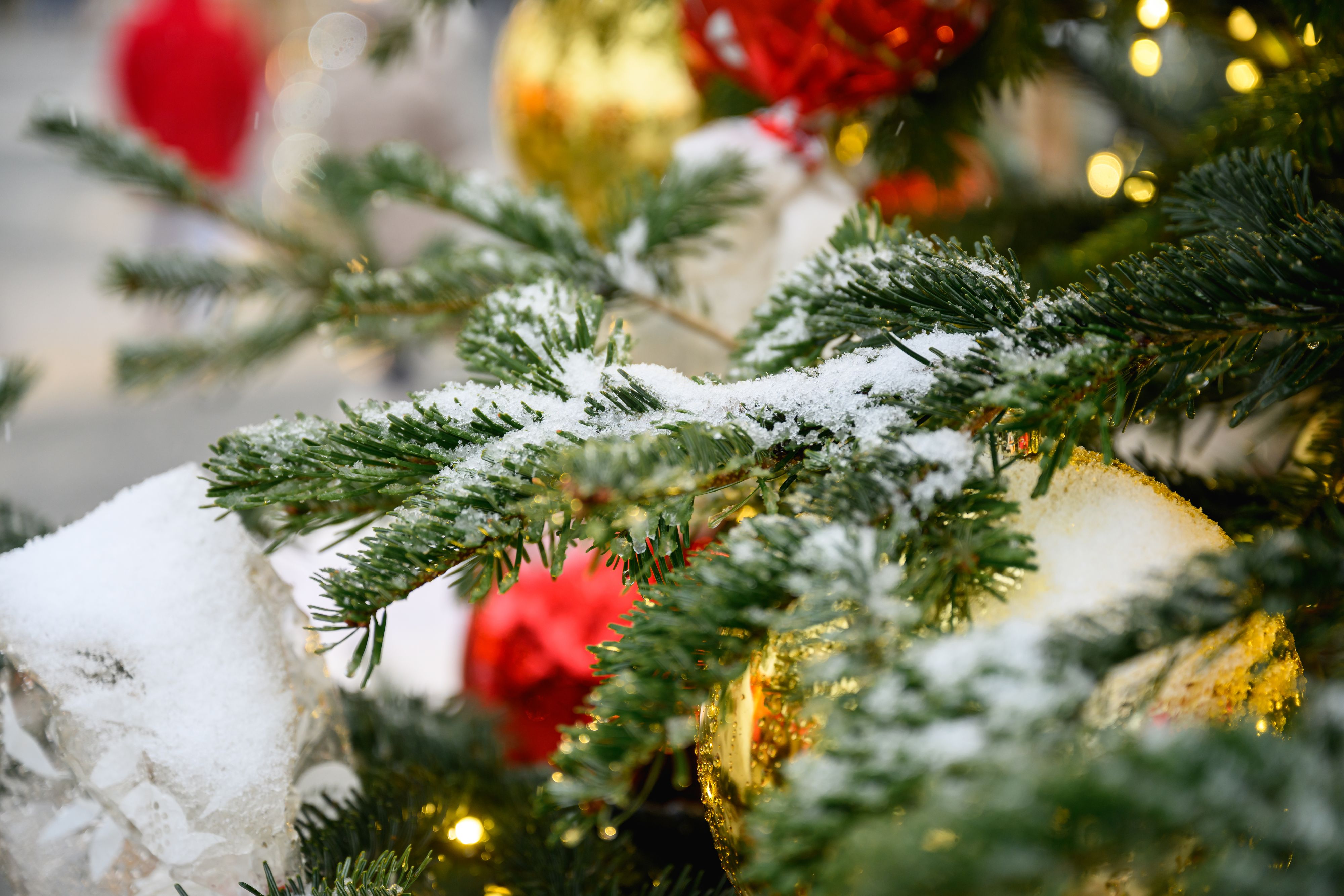 Heute.at - Bauernregel sagt Wetter fürs Christkind voraus
