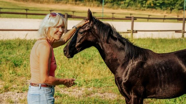 Sylvia H. sucht einen Pfleger für ihre Pferde.
