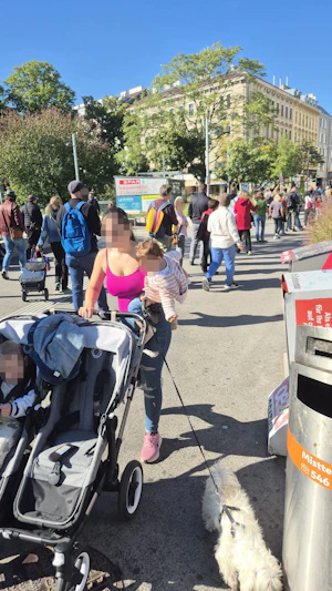 Tichy-Eis Saisonende: Wiener stellen sich in langen Schlangen an, hamstern Eisboxen und sichern Vorräte für den Winter. Großer Andrang in Wien.