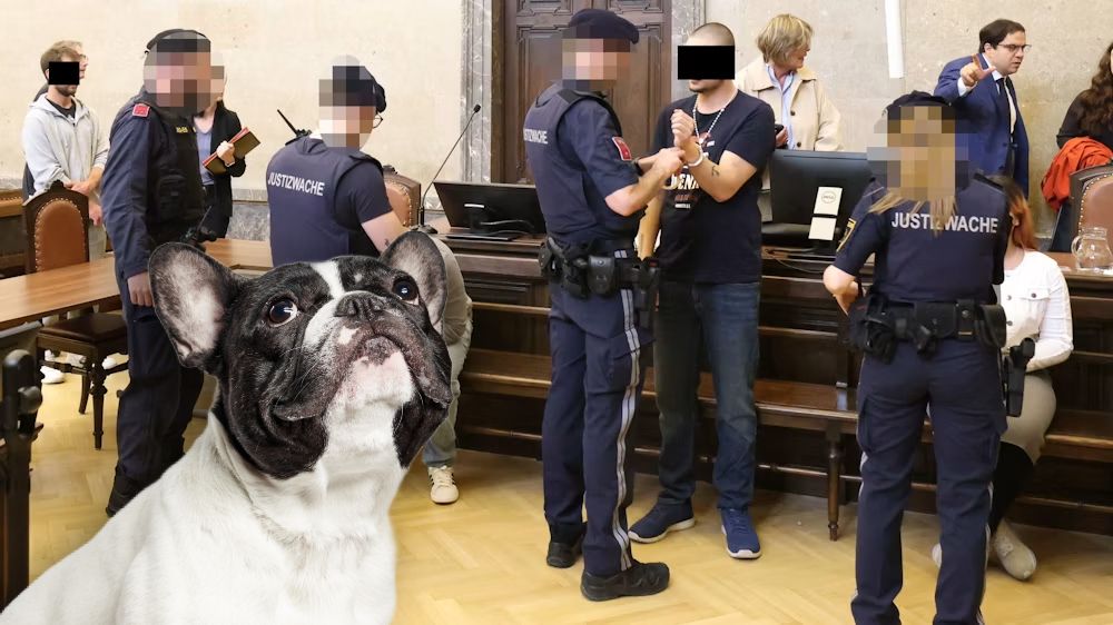So sah die Bulldogge aus; der Tierquäler in Handschellen am Wiener Landesgericht.