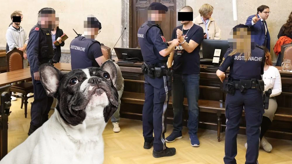 Heute.at - Burgenländer erschießt Bulldogge, kassiert Haftstrafe