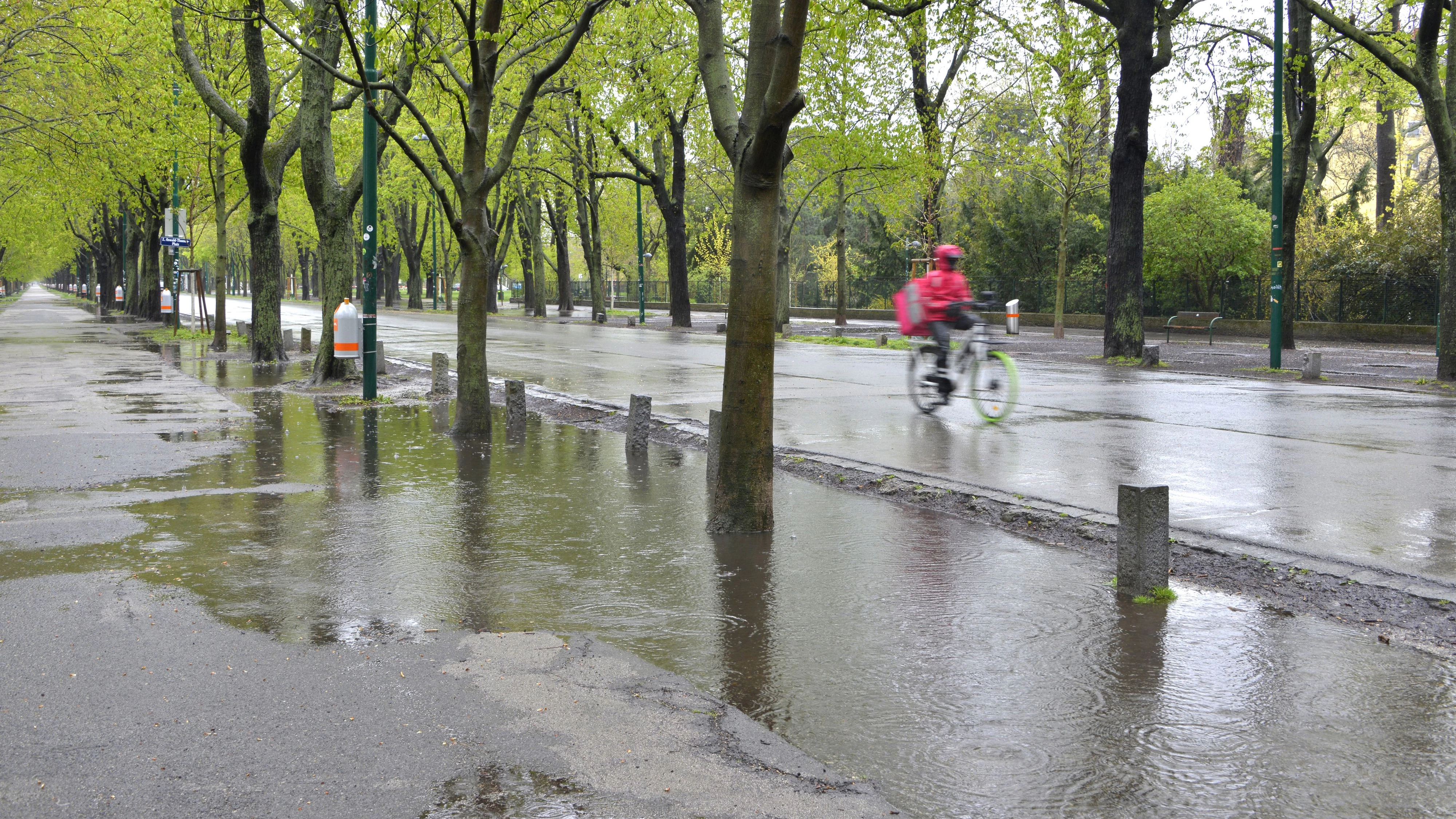 Starkregen in Wien, 2. Bezirk, Leopoldstadt, 1020, Wien, Österreich. Die Hauptallee im Wiener Prater bei Regenwetter. Ein Essenszusteller auf dem Fahrrad fährt auf der nassen Fahrbahn, bewegungsunscharf. Schlechtwetter, schwierige Arbeitsbedingung.