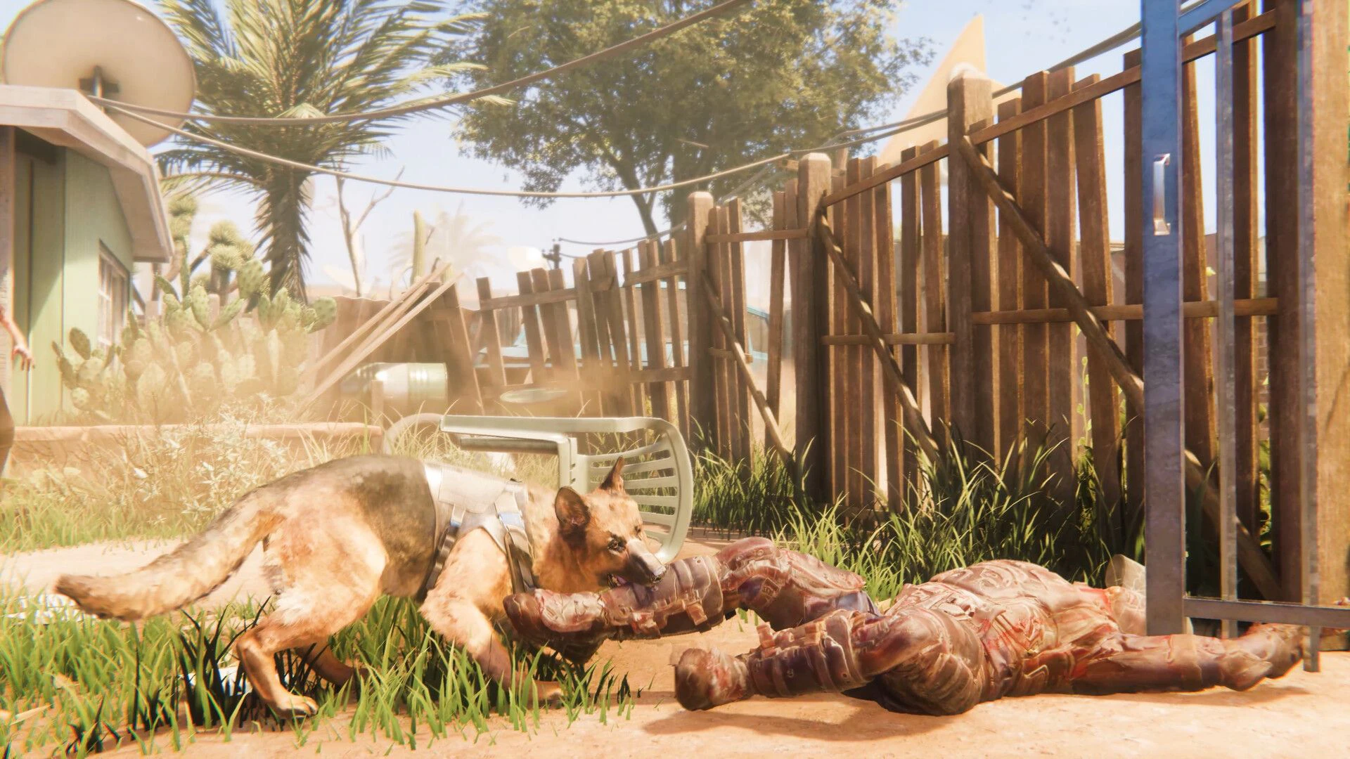 Ein Hund kämpft gegen Zombies, zwei Spieler teilen sich den Bildschirm. Der neue Trailer zu "Arizona Sunshine" zeigt ungewöhnliche Koop-Action.