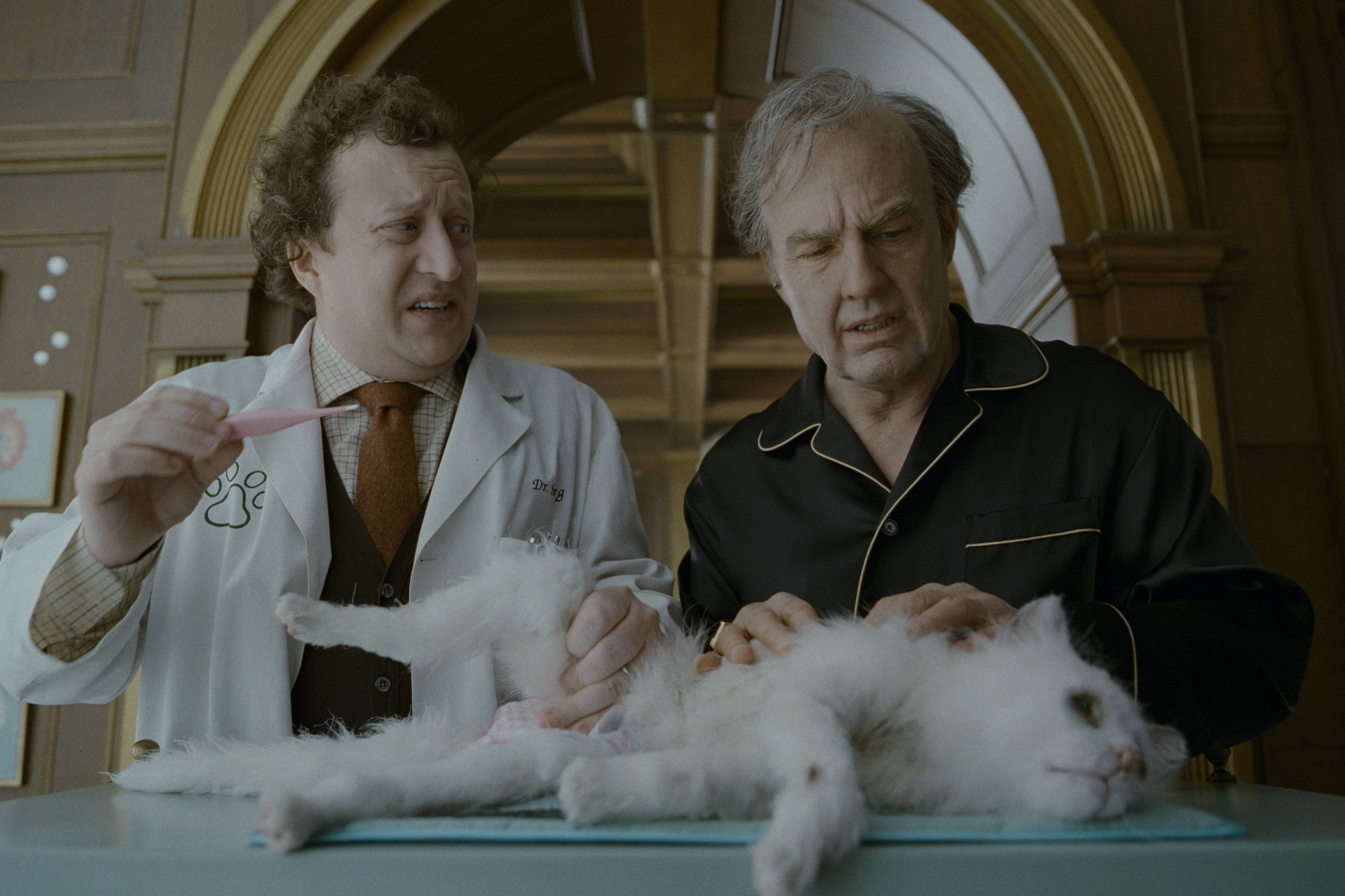 Mut zur Exzentrik: Tom Cruise als Multimilliardär und Katzenpapa Digger Rockwell in "Digger"