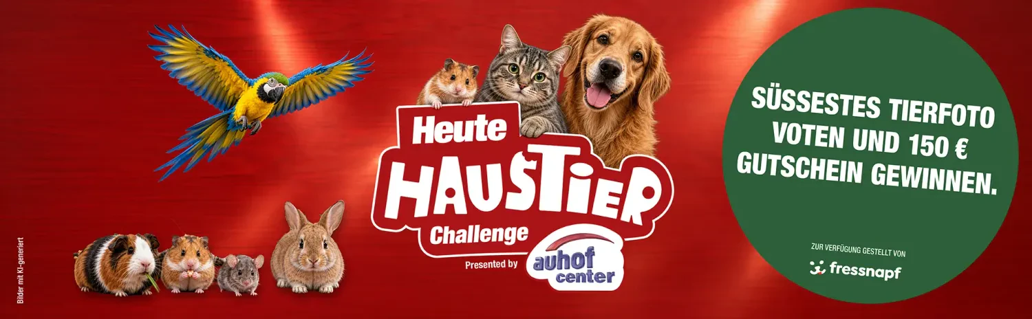 Voting Haustier 2