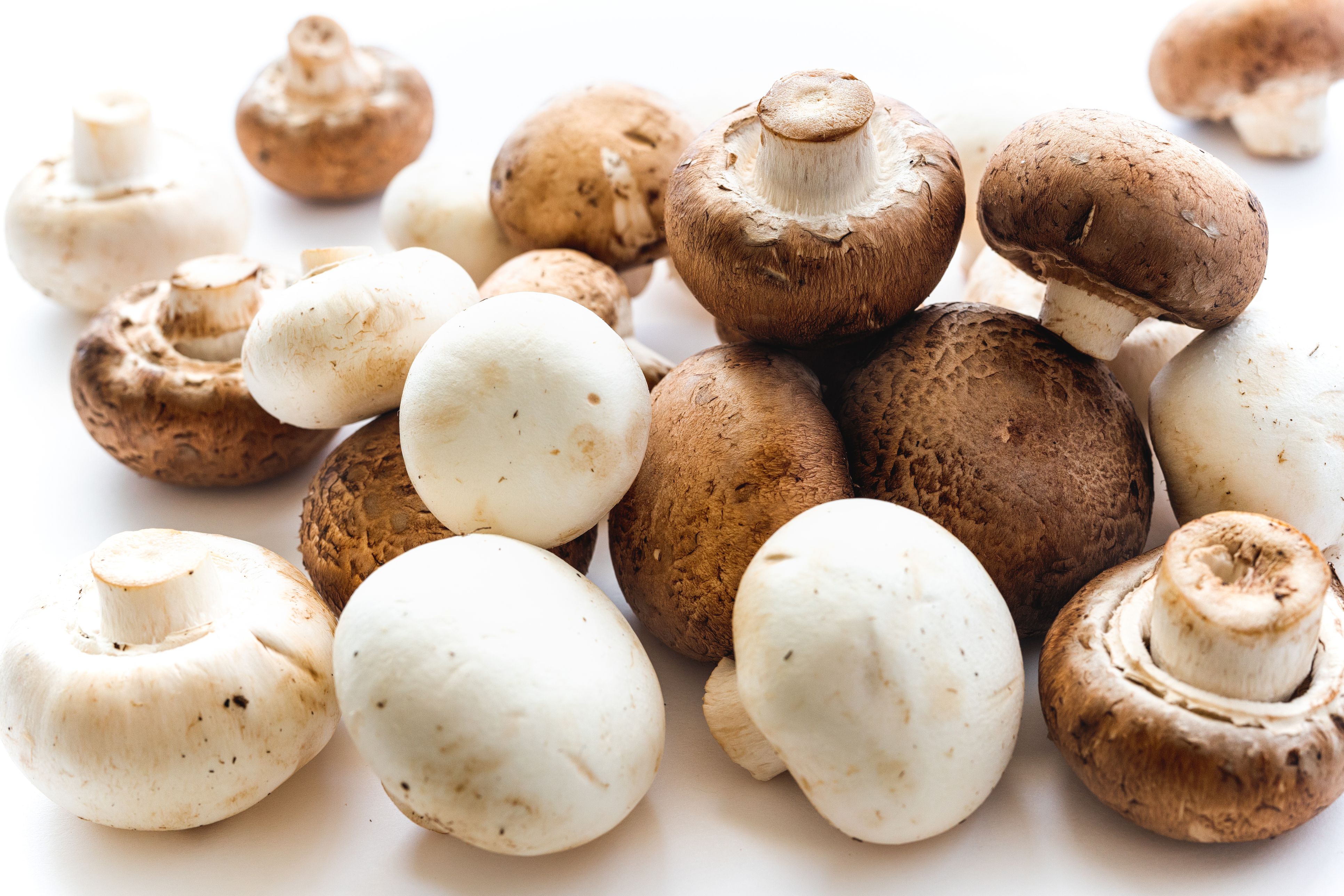 Im Supermarkt liegen sie direkt nebeneinander: weiße und braune Champignons.