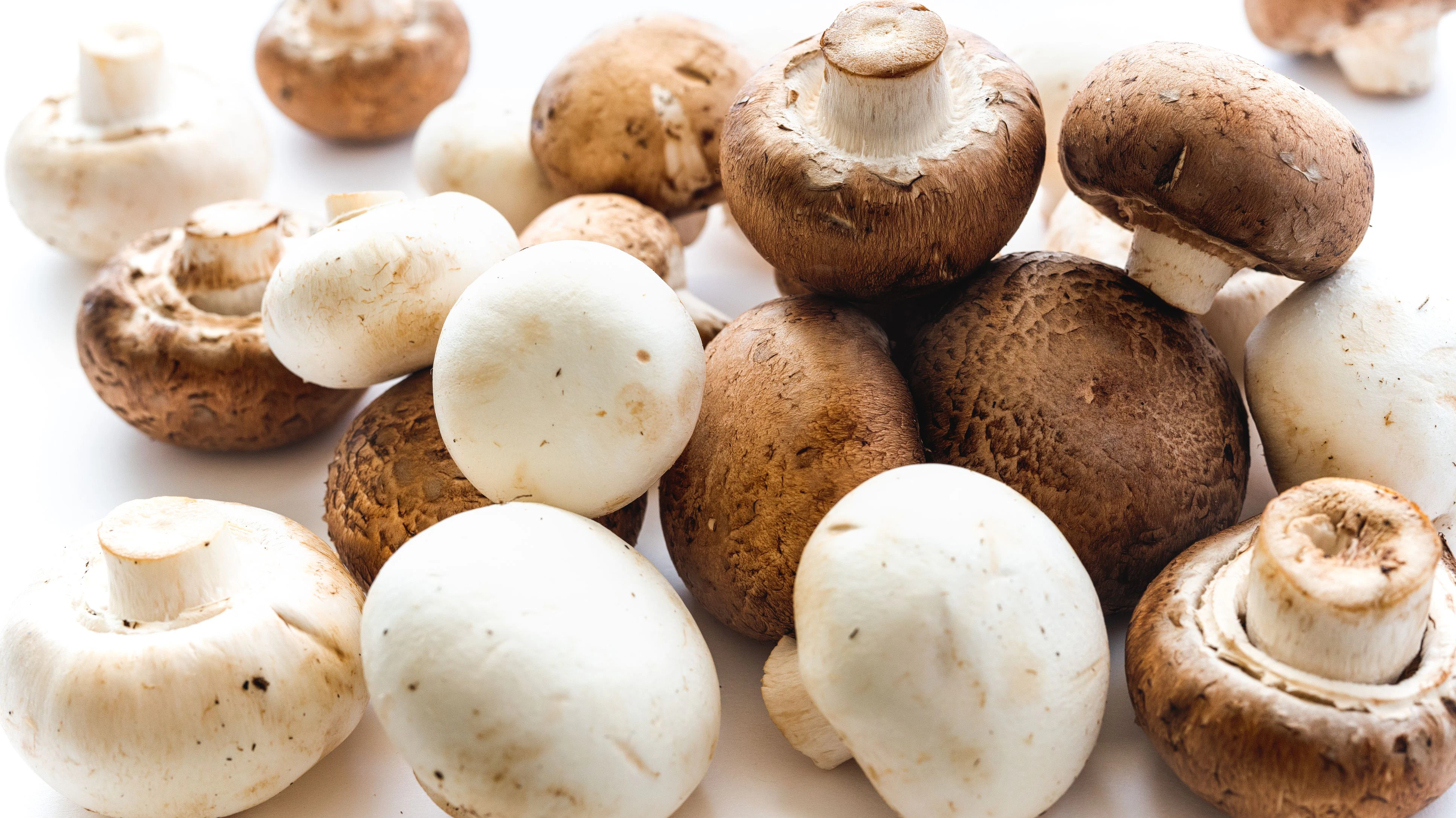 Weiße vs. braune Champignons