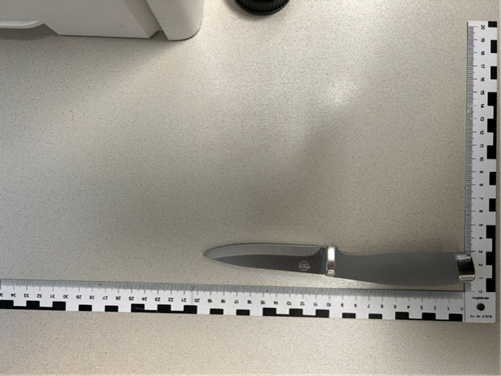 Bei der Tatverdächtigen wurde ein Küchenmesser sichergestellt. 