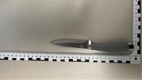 Bei der Tatverdächtigen wurde ein Küchenmesser sichergestellt. 