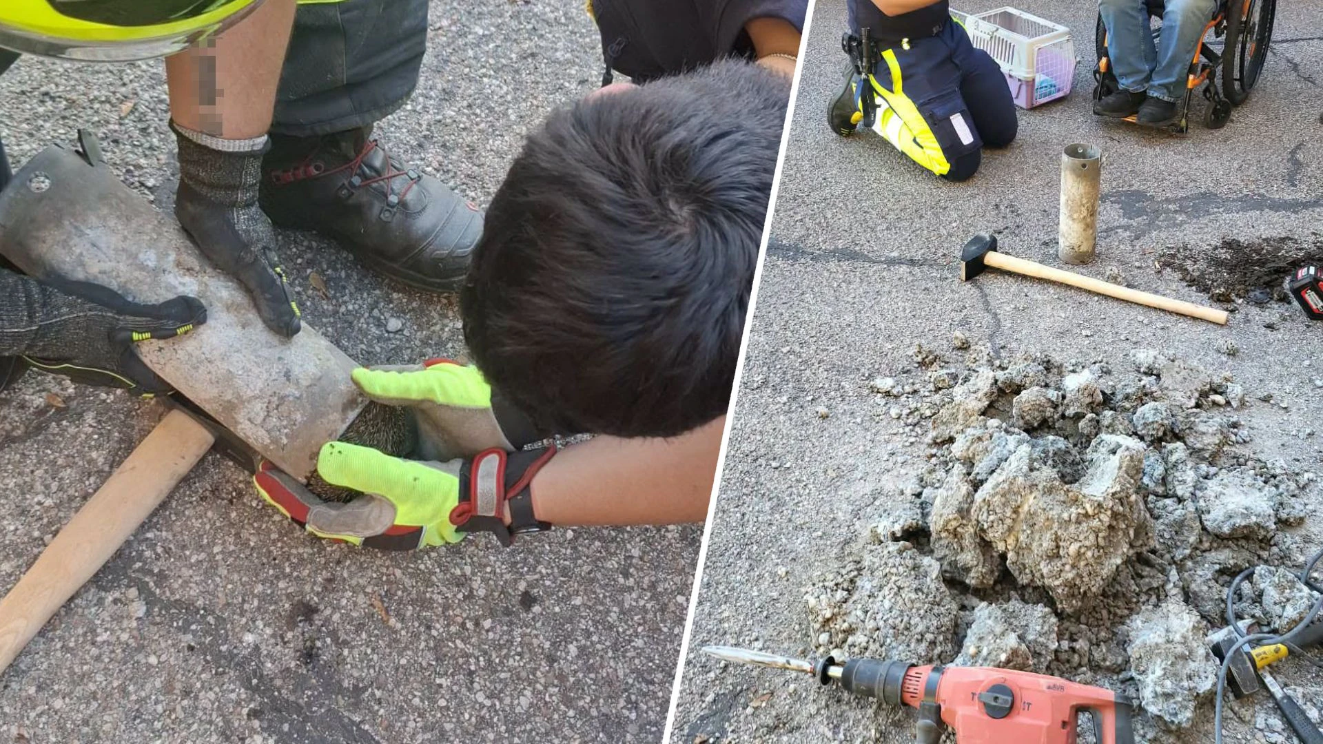 Die Feuerwehr konnte den Igel schonend befreien.