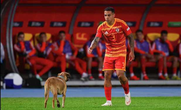 Nordmazedoniens Sebastian Herrera wollte den Hund einfangen.