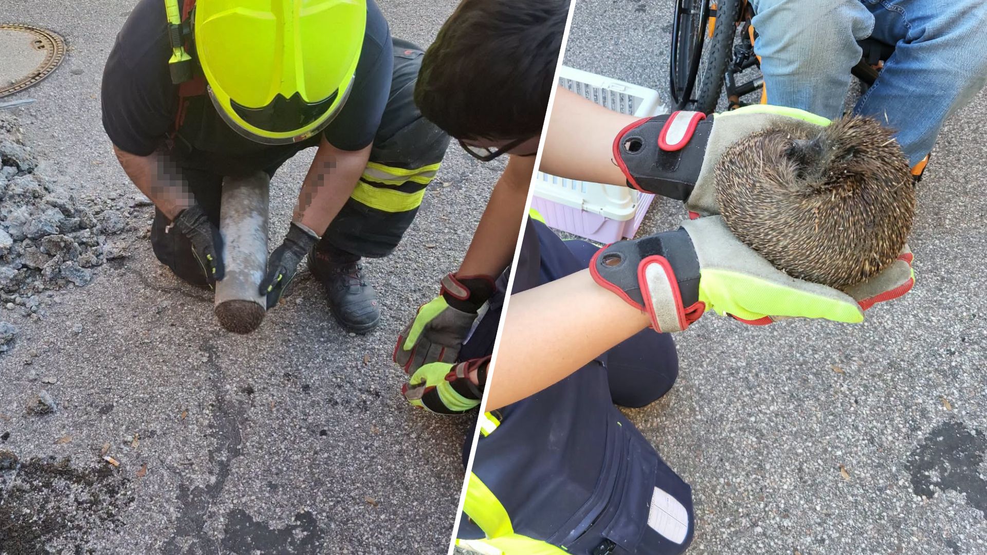 Die Feuerwehr befreite den Igel aus seiner misslichen Lage. 