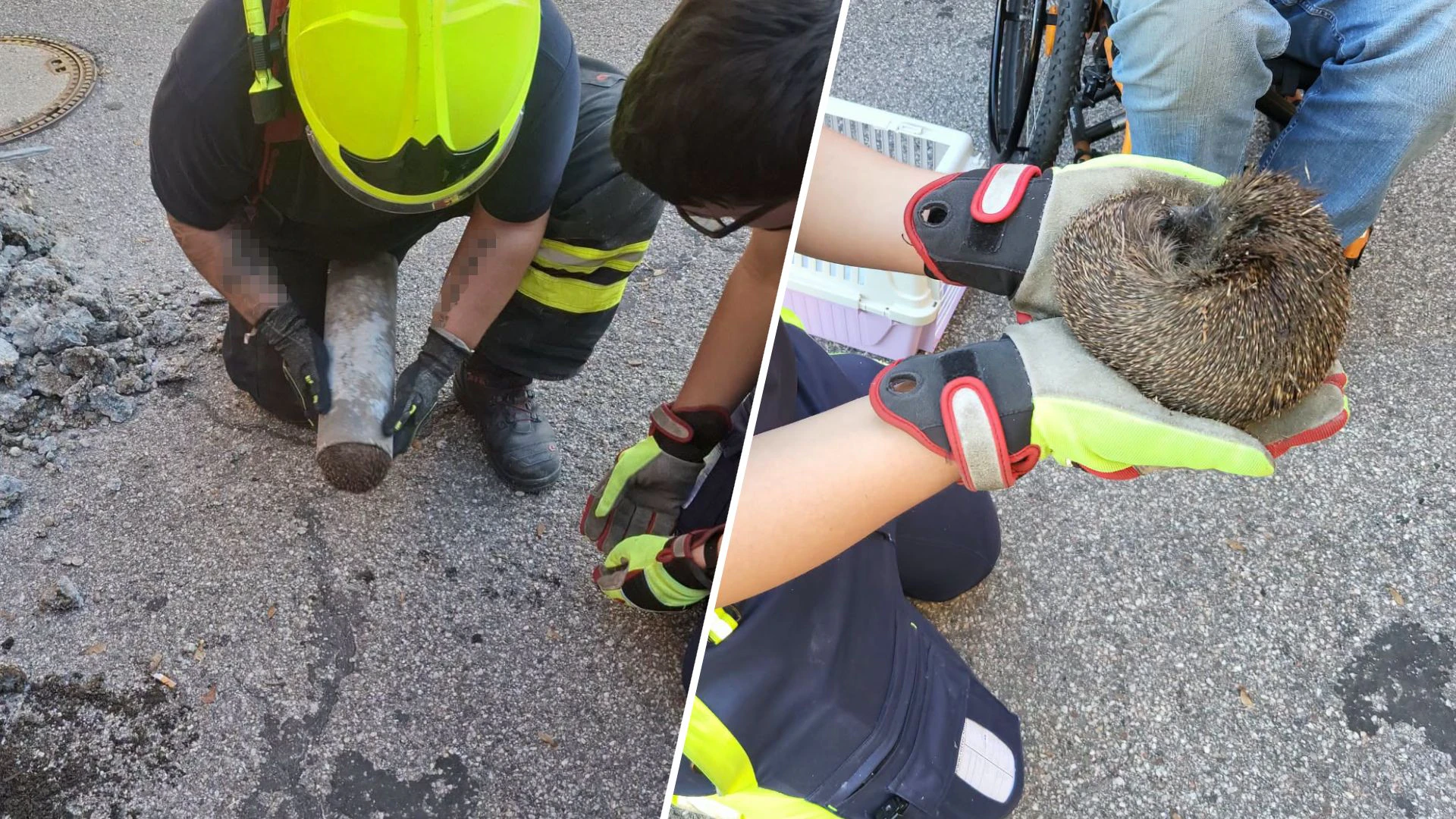 Die Feuerwehr befreite den Igel aus seiner misslichen Lage. 
