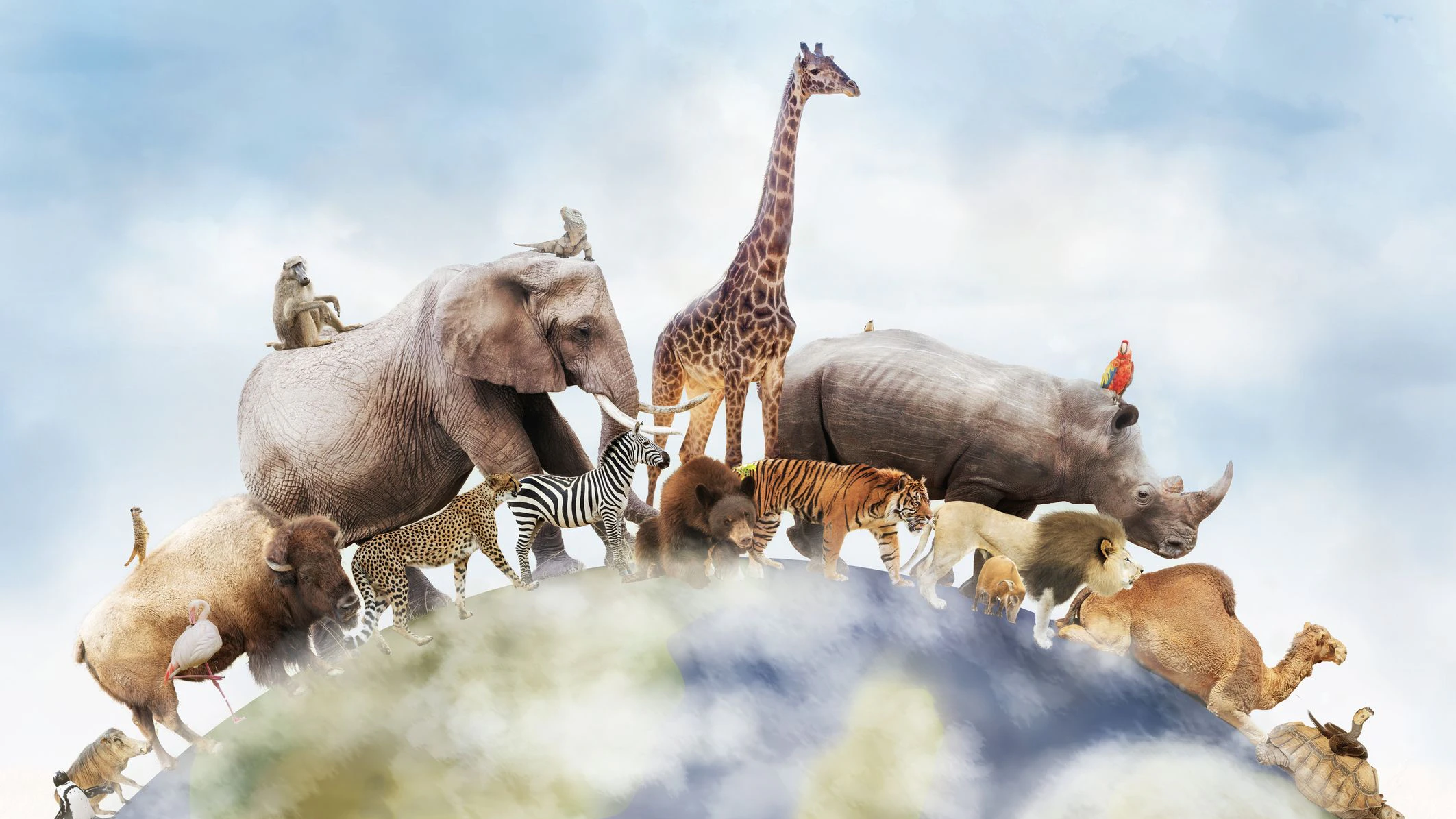 Conceptual image of wildlife around the planet earth can be used to celebrate World Animal Day