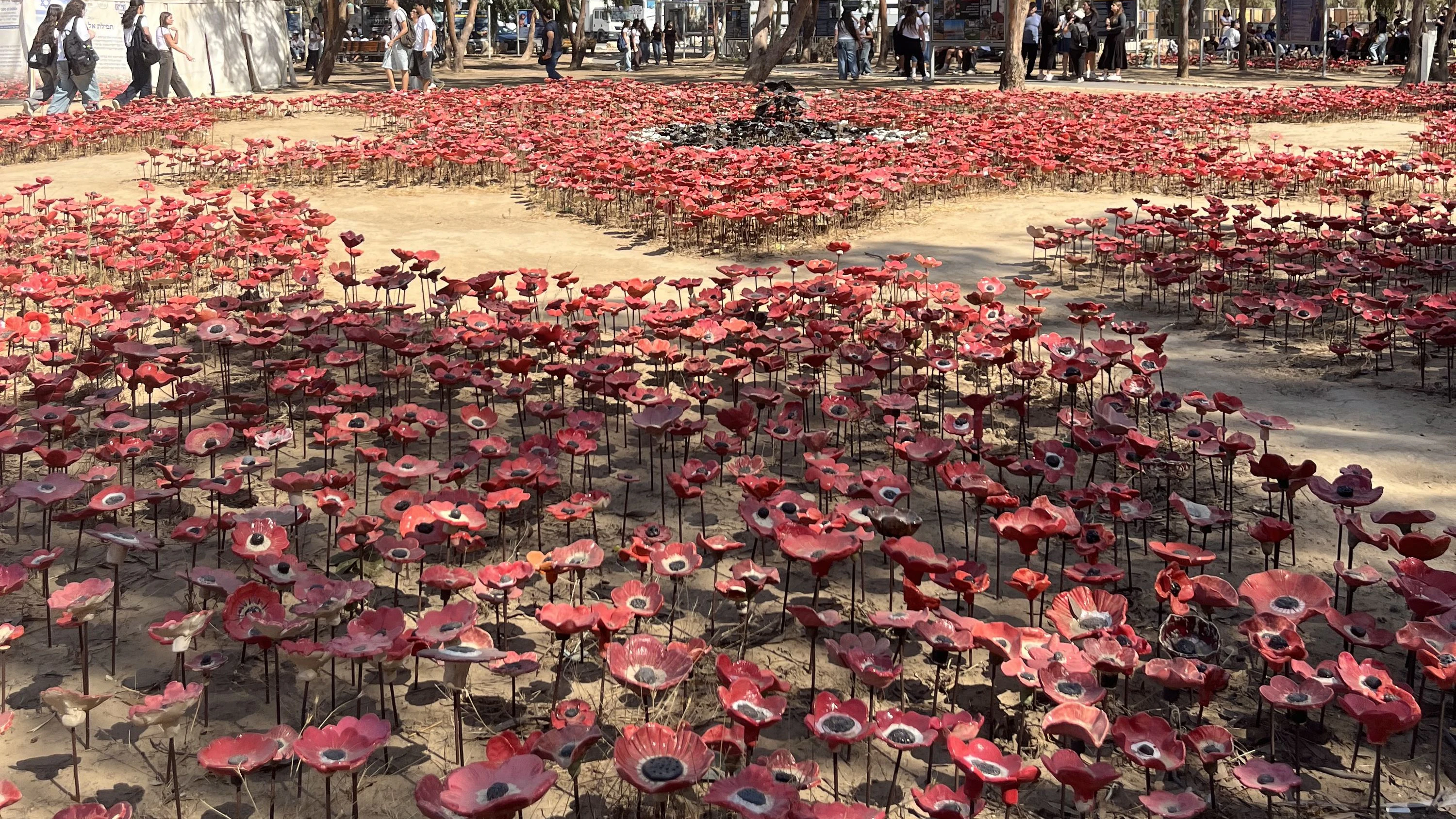 Wegen der blühenden Anemonen wird der Südens Israels als "roter Süden" bezeichnet. Seit dem 7. Oktober hat der "rote Süden" allerdings eine andere Bedeutung.