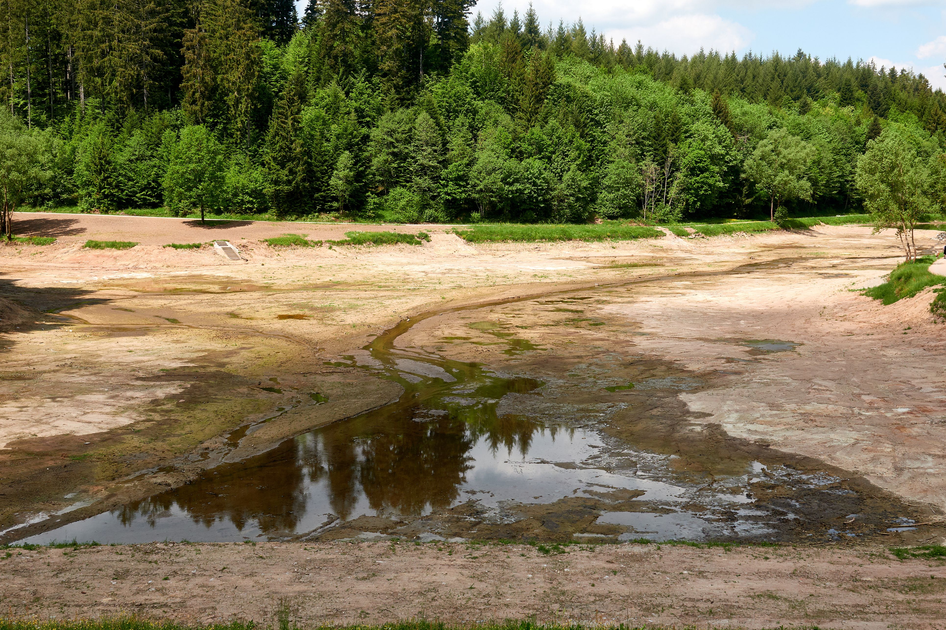 Sehr niedrige Wasserführung an über 80 Prozent der Flusspegel