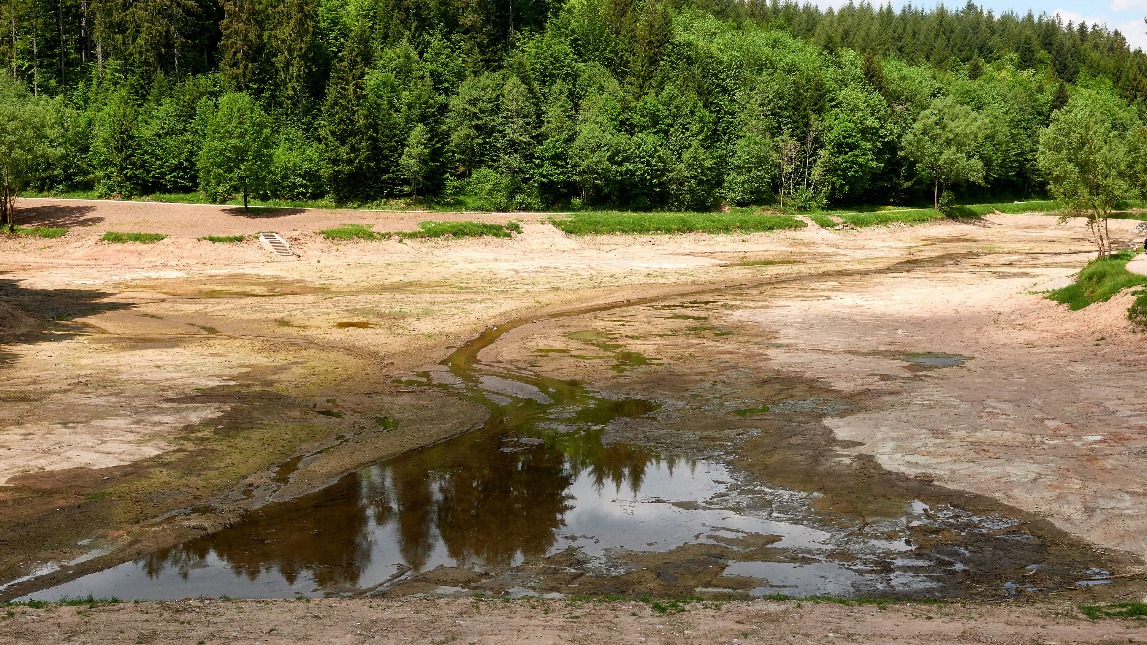 Sehr niedrige Wasserführung an über 80 Prozent der Flusspegel