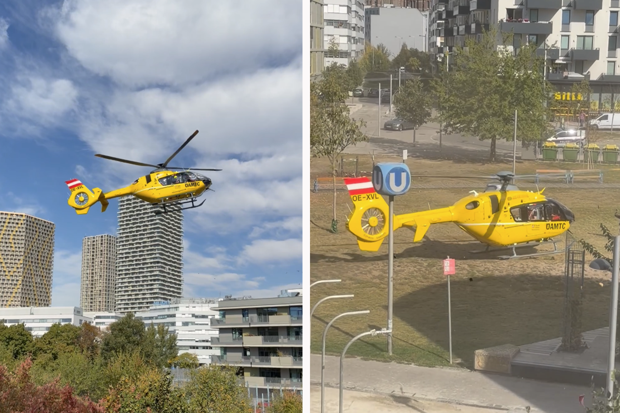 Am Mittwoch rückten die Einsatzkräfte in den Hyblerpark aus.