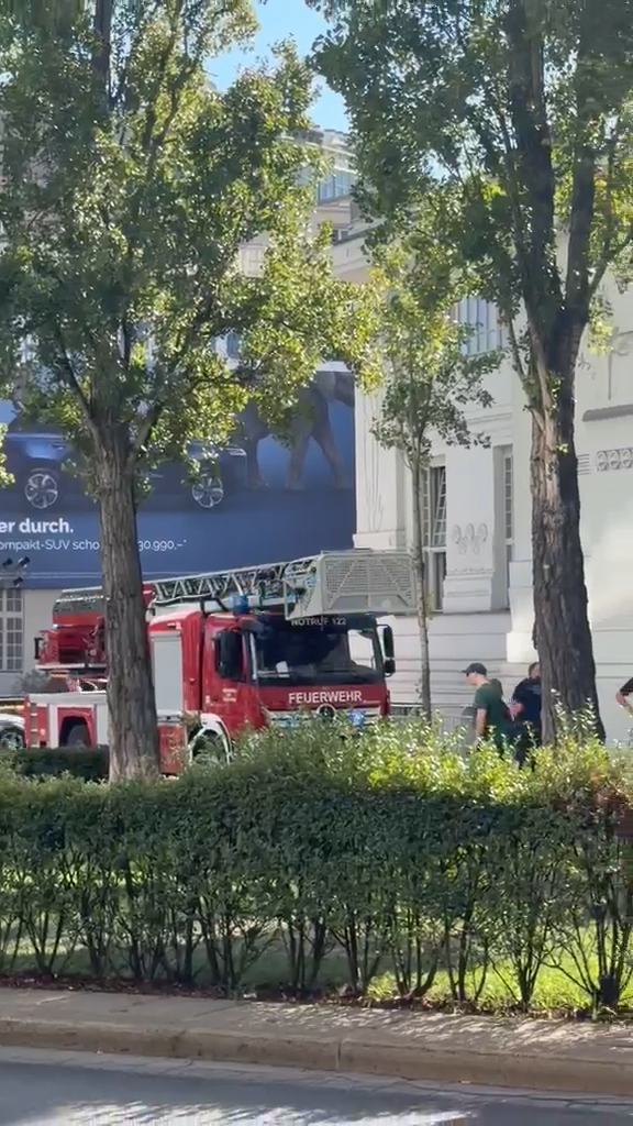Die Berufsfeuerwehr rückte mit einer Drehleiter aus. 