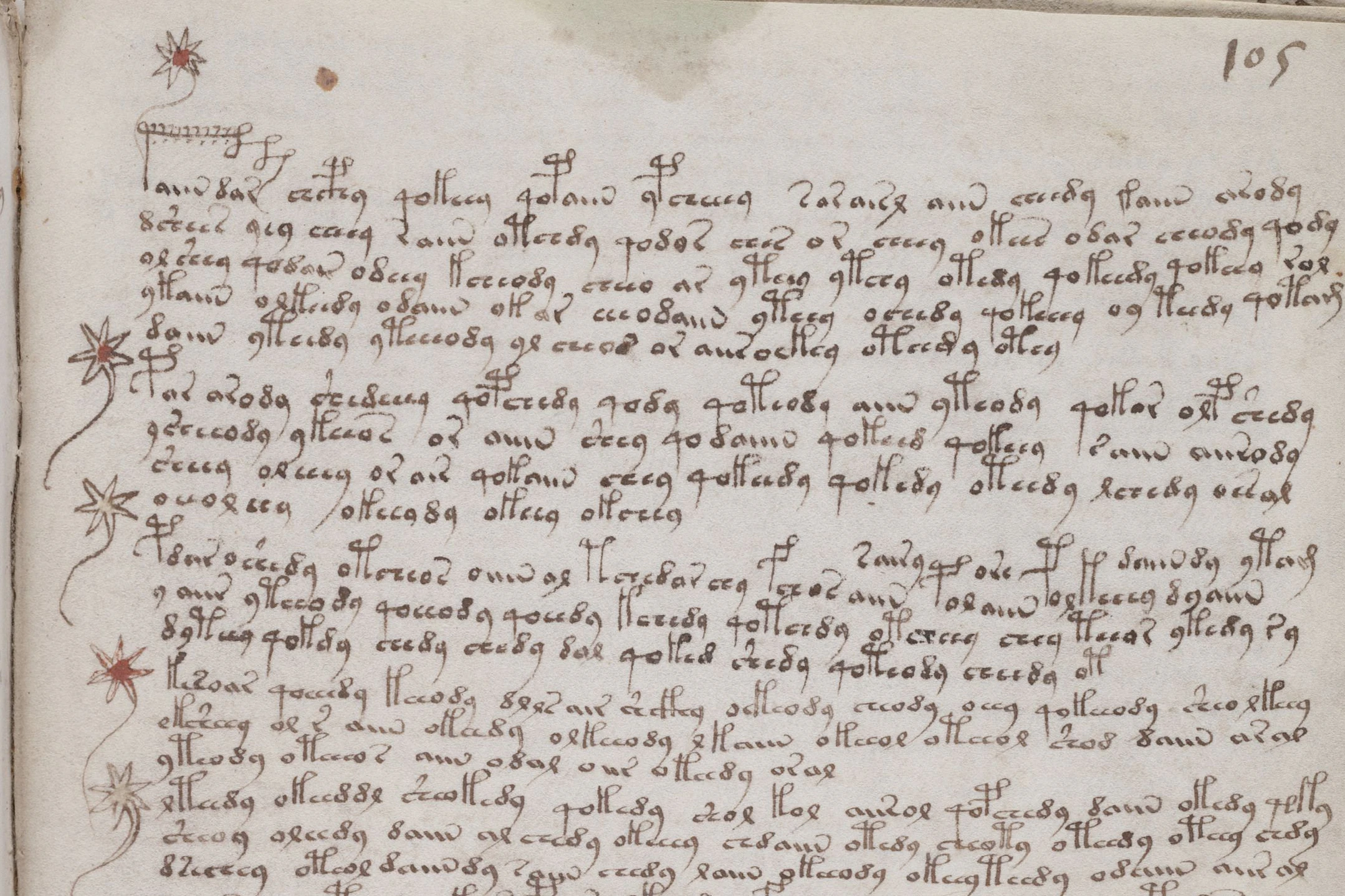 Die Schrift, in der das gesamte Manuskript verfasst ist, konnte trotz KI-Unterstützung bis jetzt nicht entschlüsselt werden