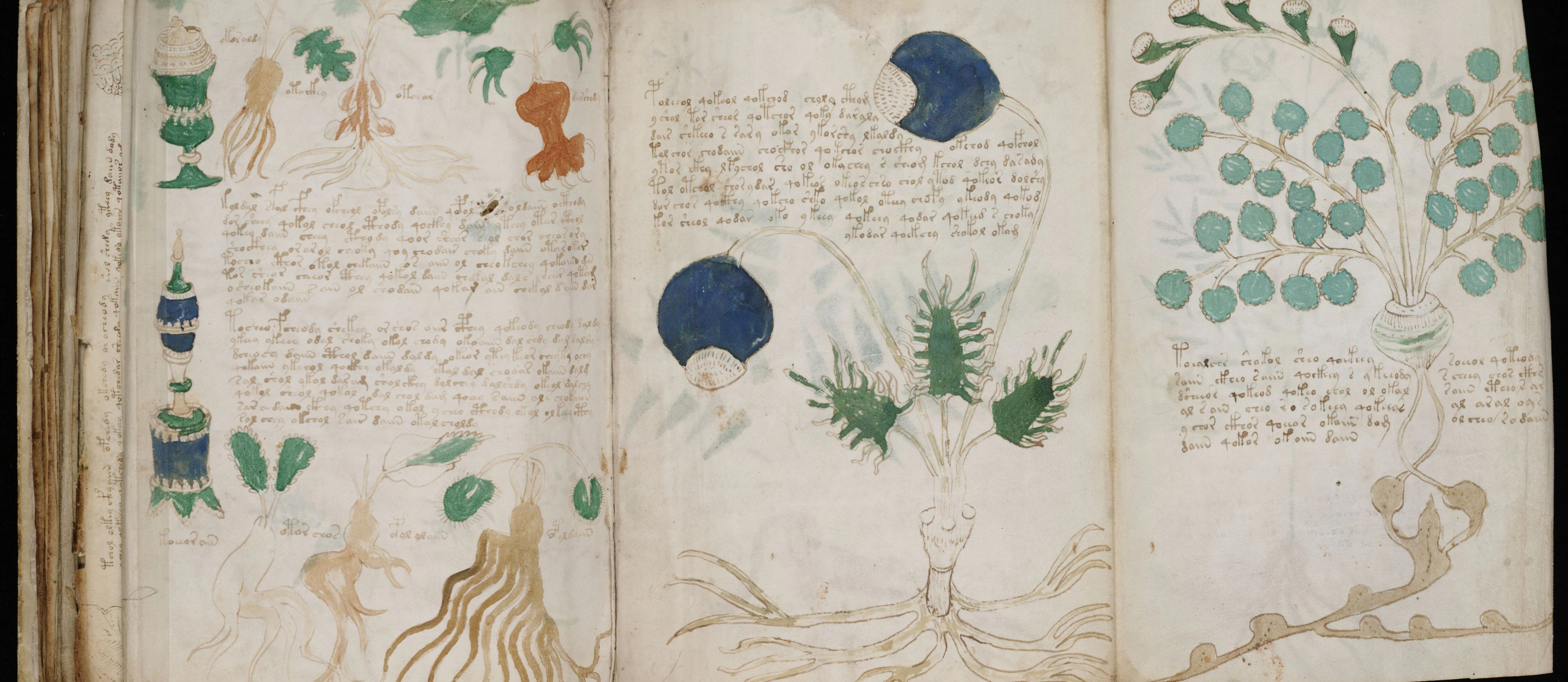Das Voynich-Manuskript ist etwa 600 Jahre und bis heute das einzige bekannte Buch der Menschheitsgeschichte, von dem wir nicht einmal ein Wort entziffern können