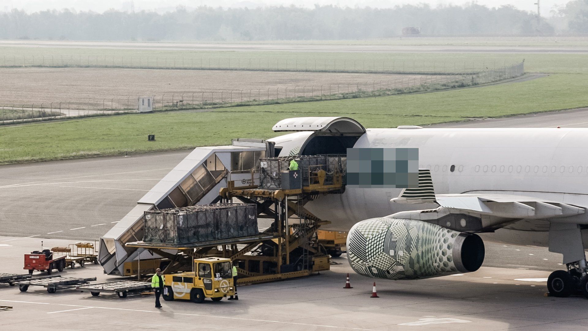 Die Grünen fordern ein Verbot der Tiertransporte.