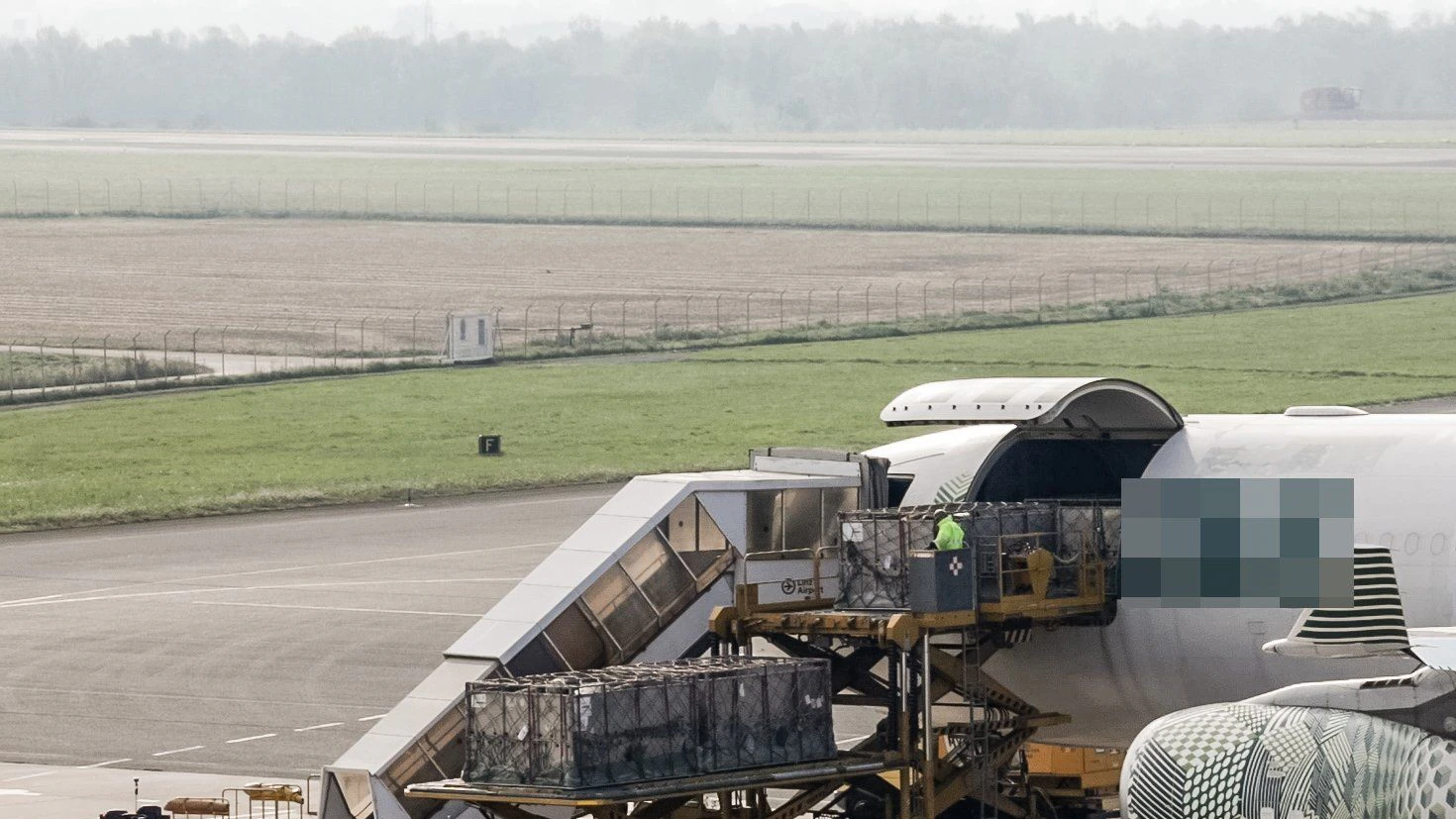 Die Grünen fordern ein Verbot der Tiertransporte.