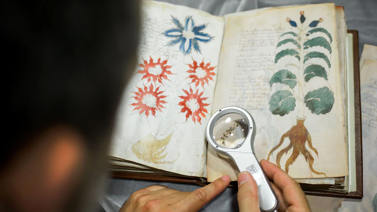 Seit Jahrhunderten stellt ein mysteriöses Buch aus dem Mittelalter Forscher und Computerhirne vor ein Rätsel. Jetzt zeigt eine neue Studie: Die Seiten des Buches könnten die ganze Zeit über in der falschen Reihenfolge gebunden gewesen sein. Aber hilft das weiter?