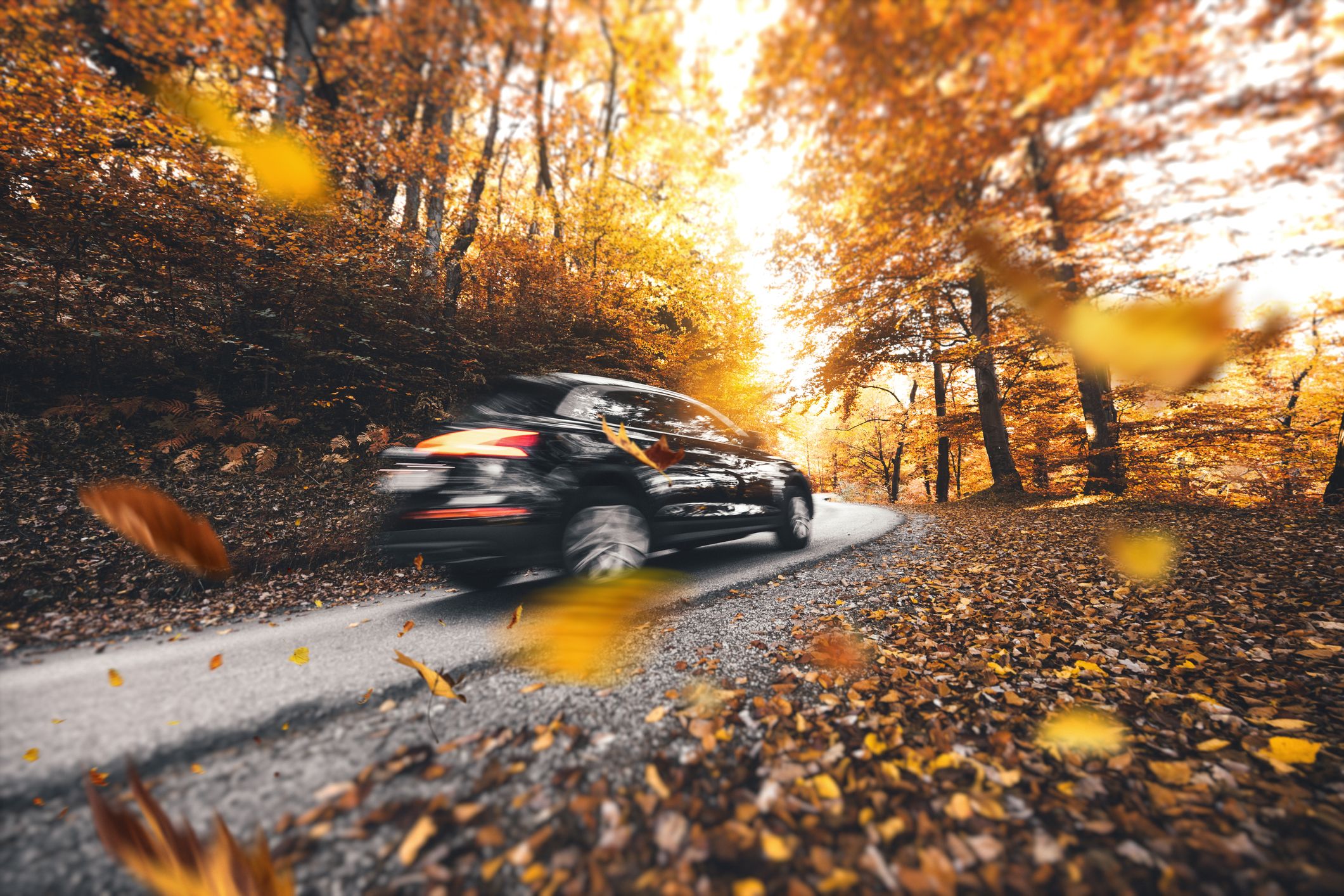 Der Herbst bringt wieder rutschige Straßen und Nebel.