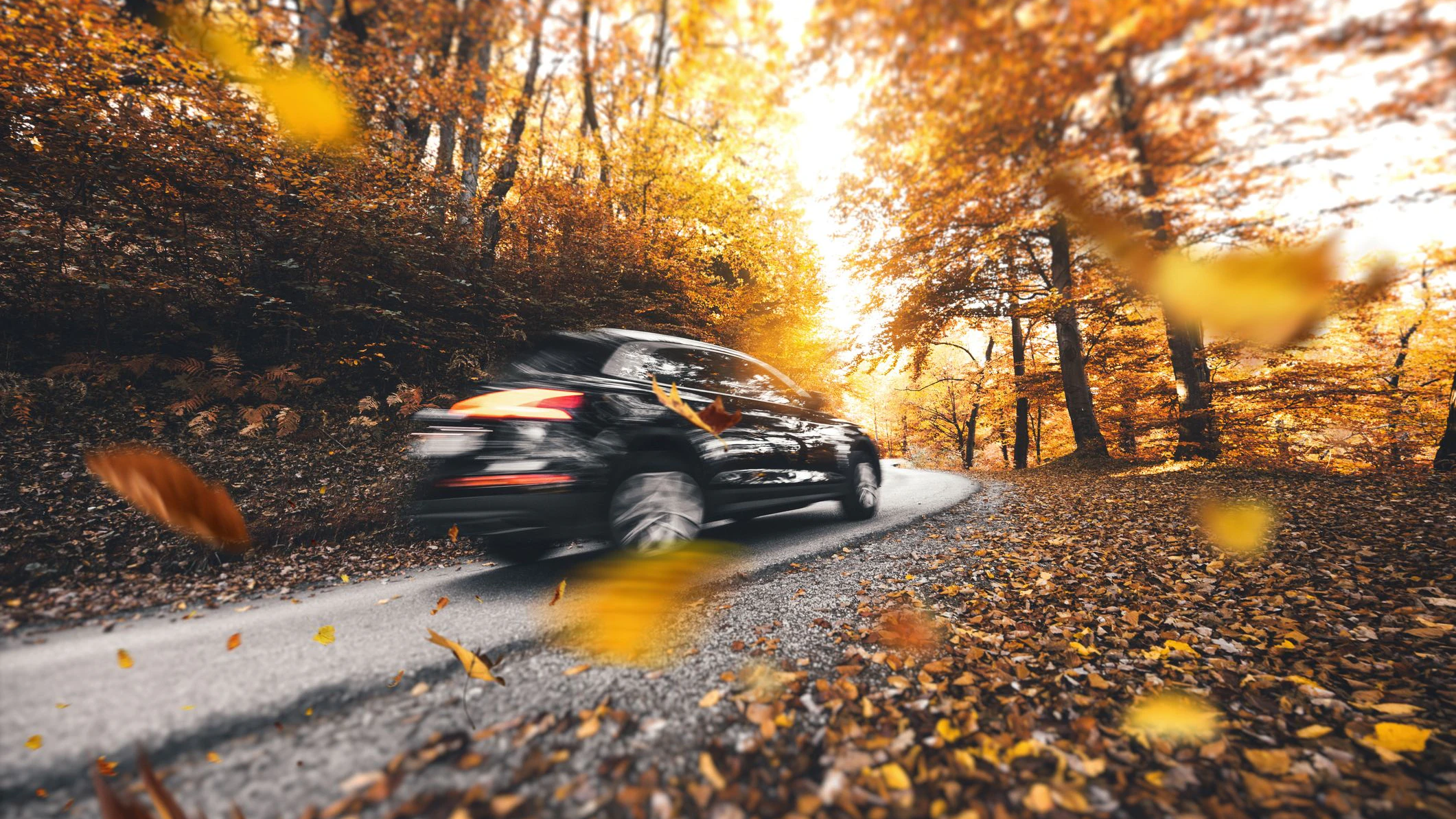 Herbst bringt wieder rutschige Straßen und Nebel