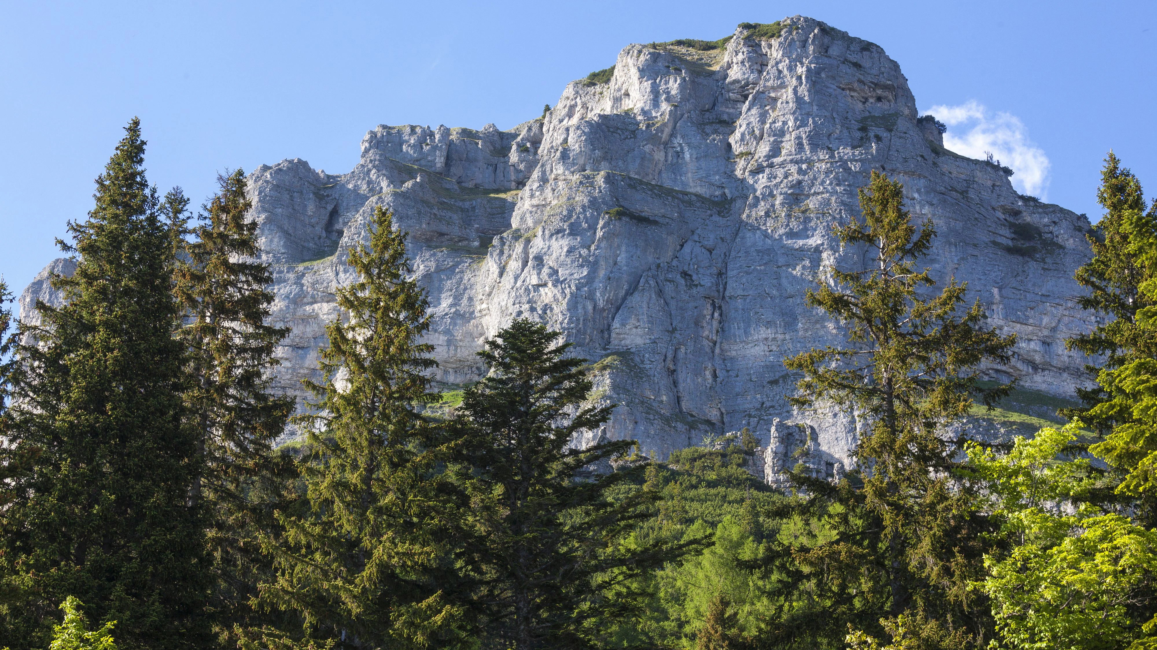 Das Unglück ereignete sich am Klettersteig "Sissi" in der Südwand des Losers.
