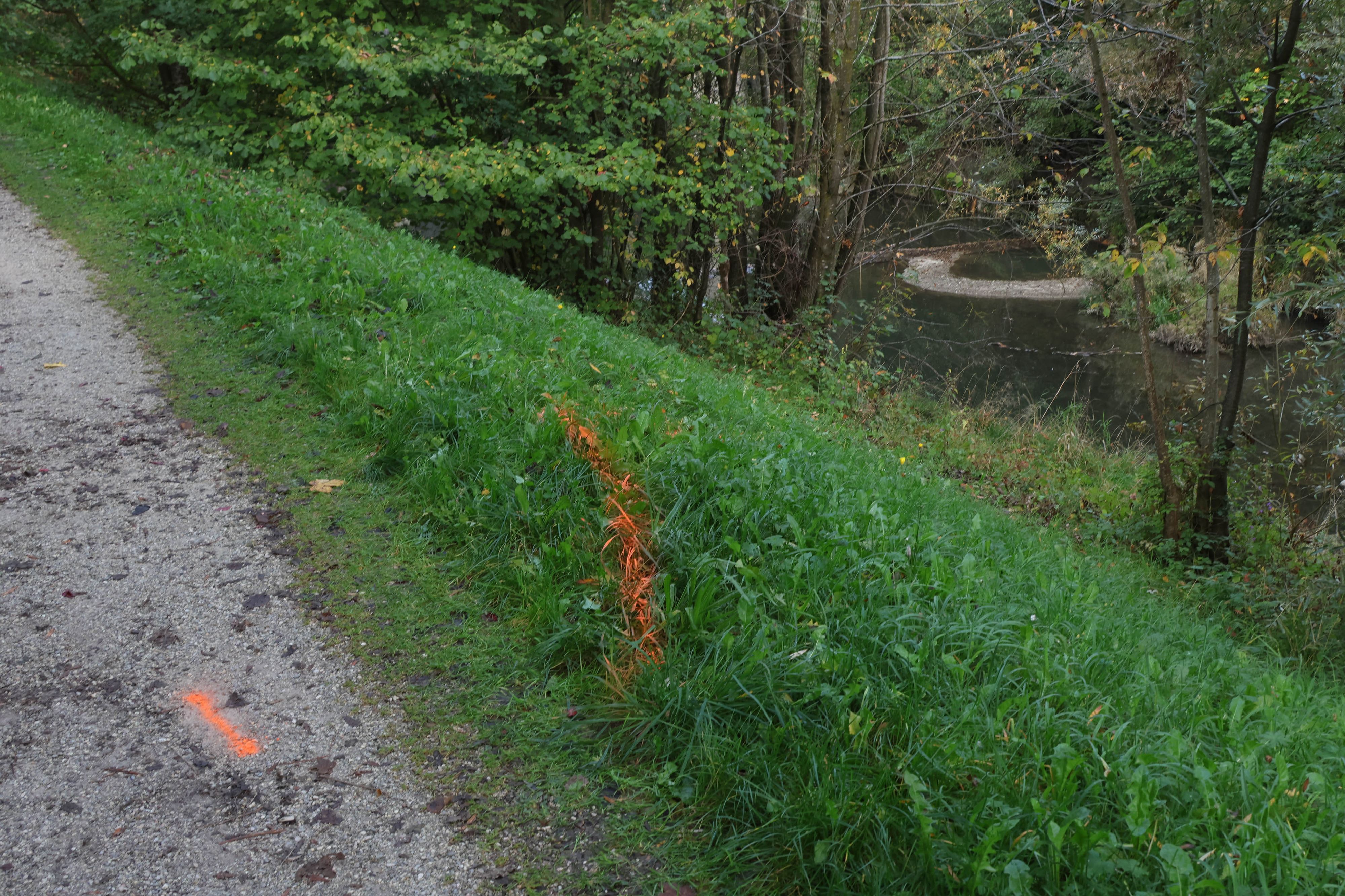 Hier stürzte der 63-Jährige, bevor in der Trattnach landete.